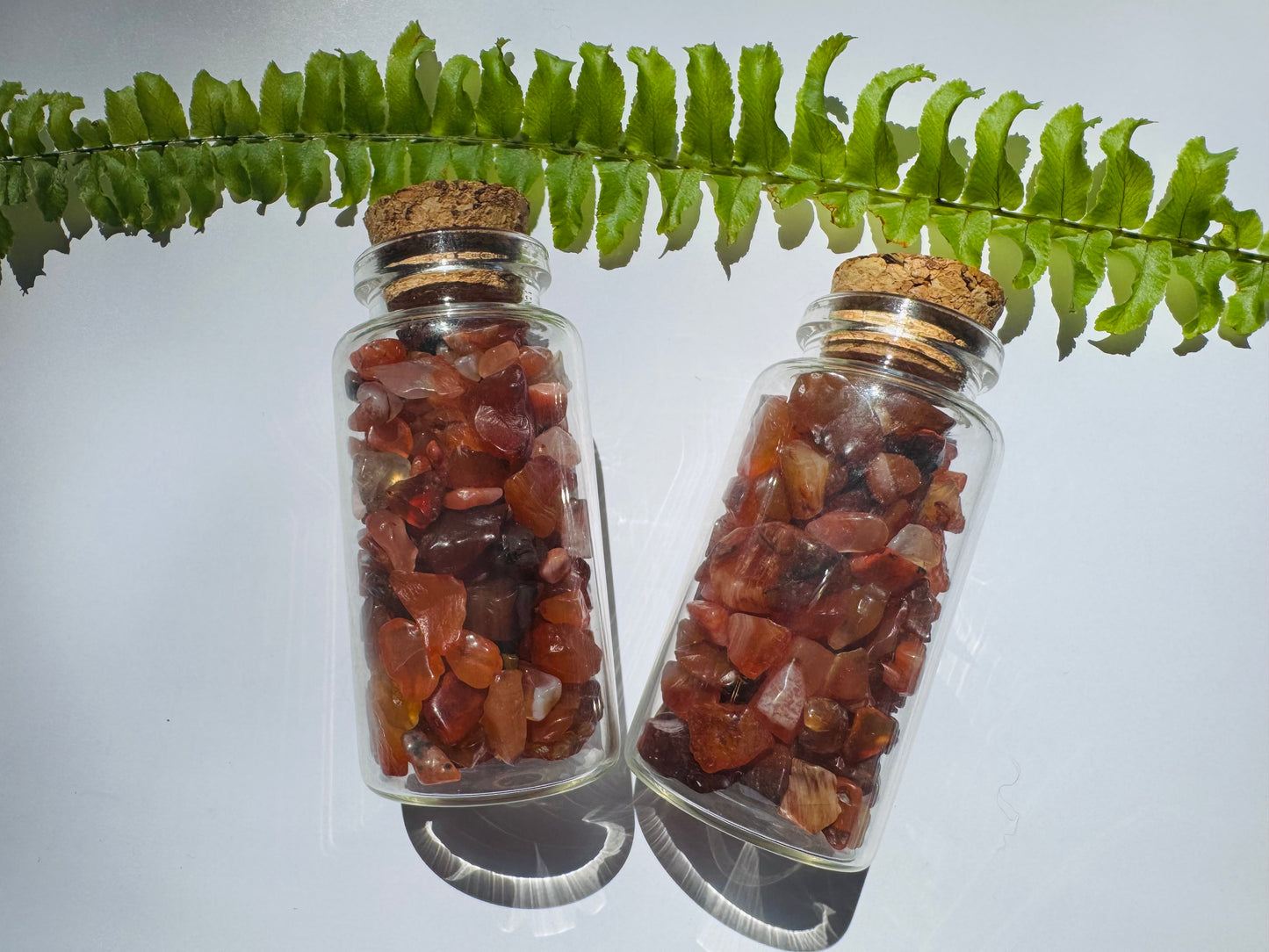 Carnelian Gem Chip 25 ml Glass Jar - Moon Room Shop and Wellness