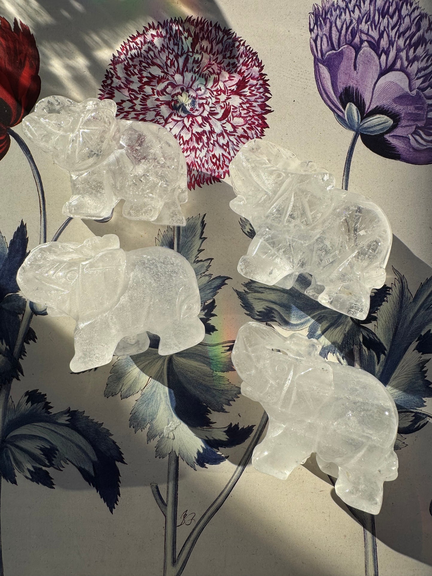 Clear Quartz Elephant 1.75"x1.25" - Moon Room Shop and Wellness