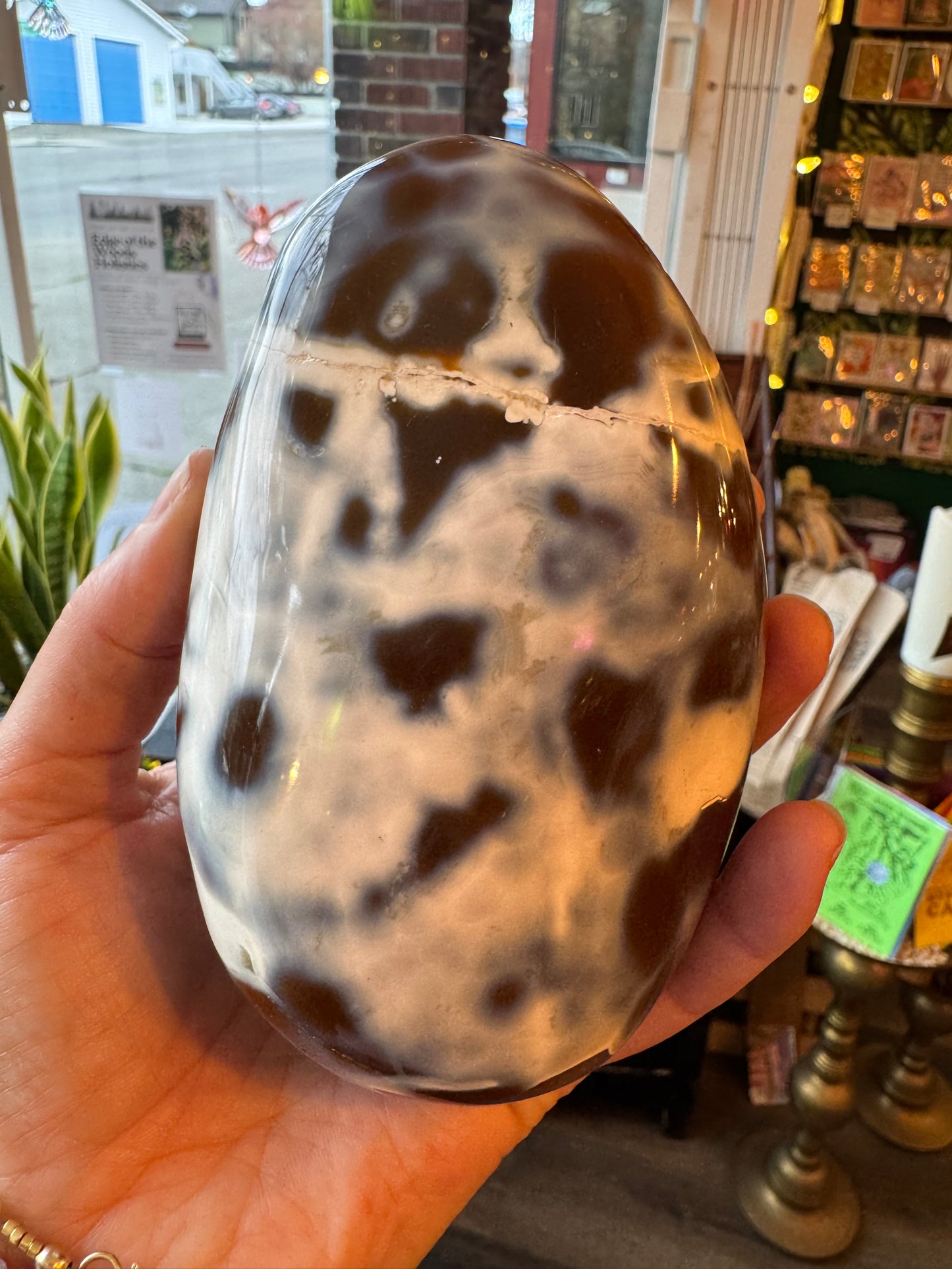 Carnelian Orca Agate Palm Stone 1.6 lb - Madagascar - Moon Room Shop and Wellness
