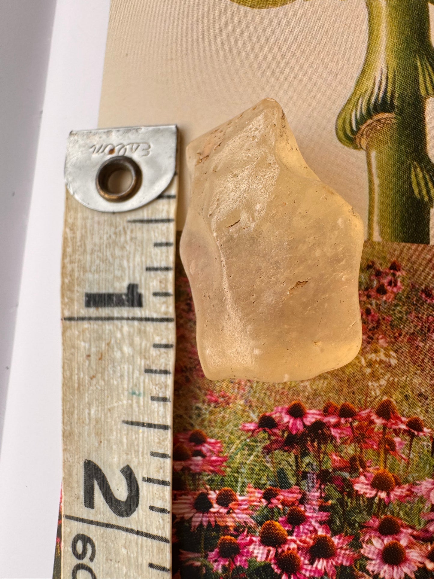 Libyan Desert Glass Tektite 10.9 gram - Moon Room Shop and Wellness
