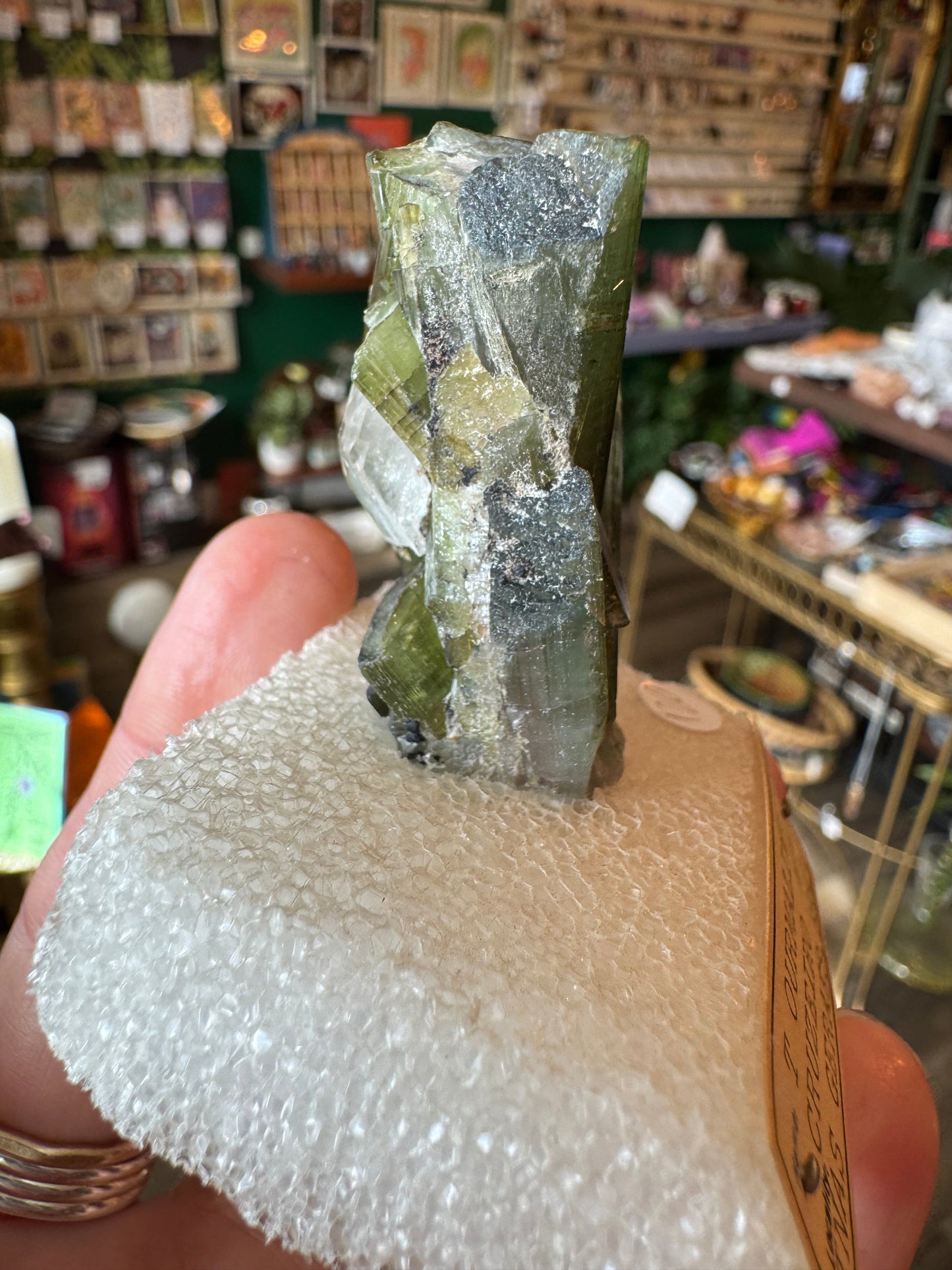 Green Tourmaline Specimen- Vintage Private Collection Piece- Brazil - Moon Room Shop and Wellness