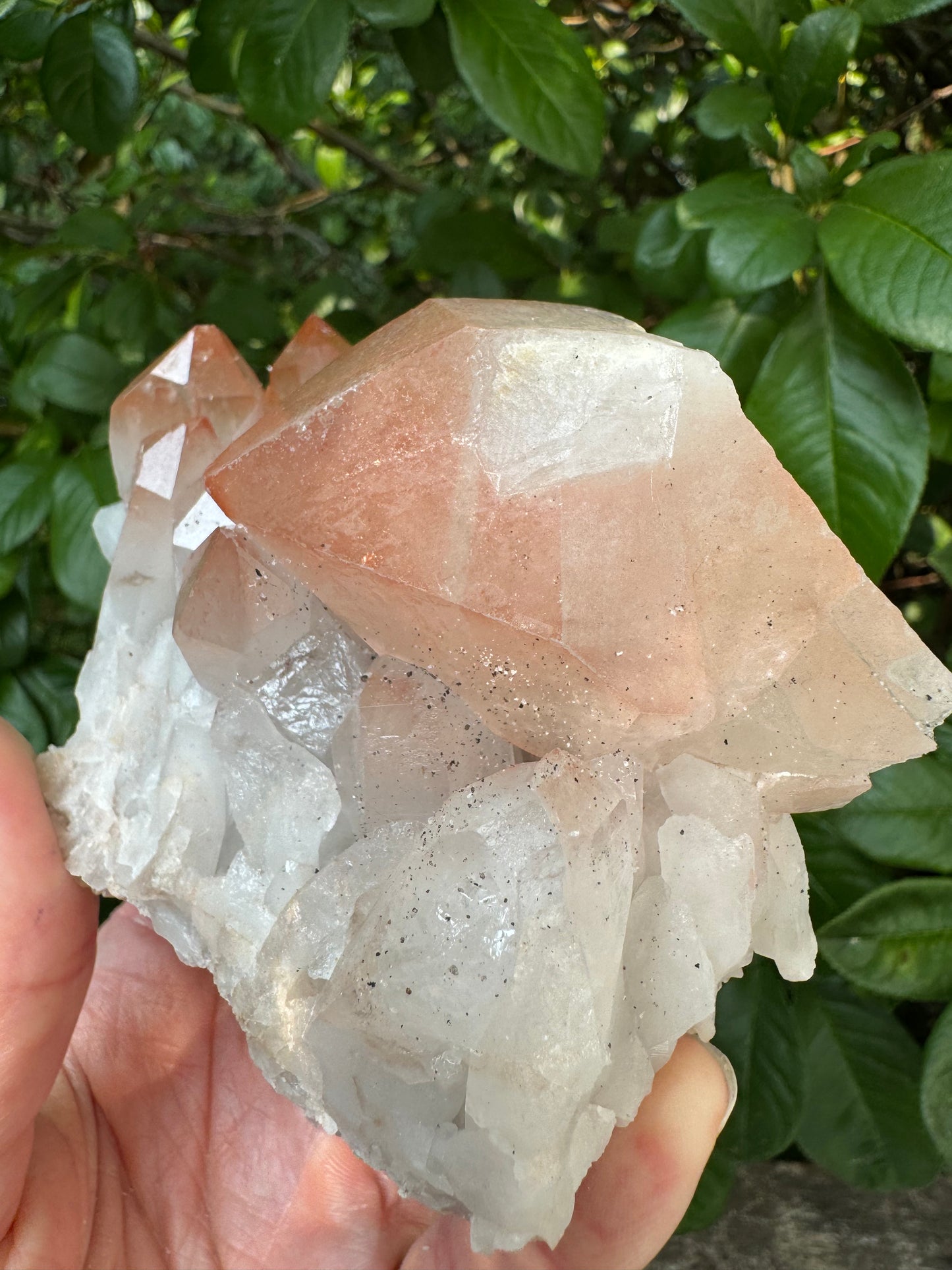 Pink Lithium Quartz Cluster 456 g - Brazil- Peaceful Beauty! - Moon Room Shop and Wellness