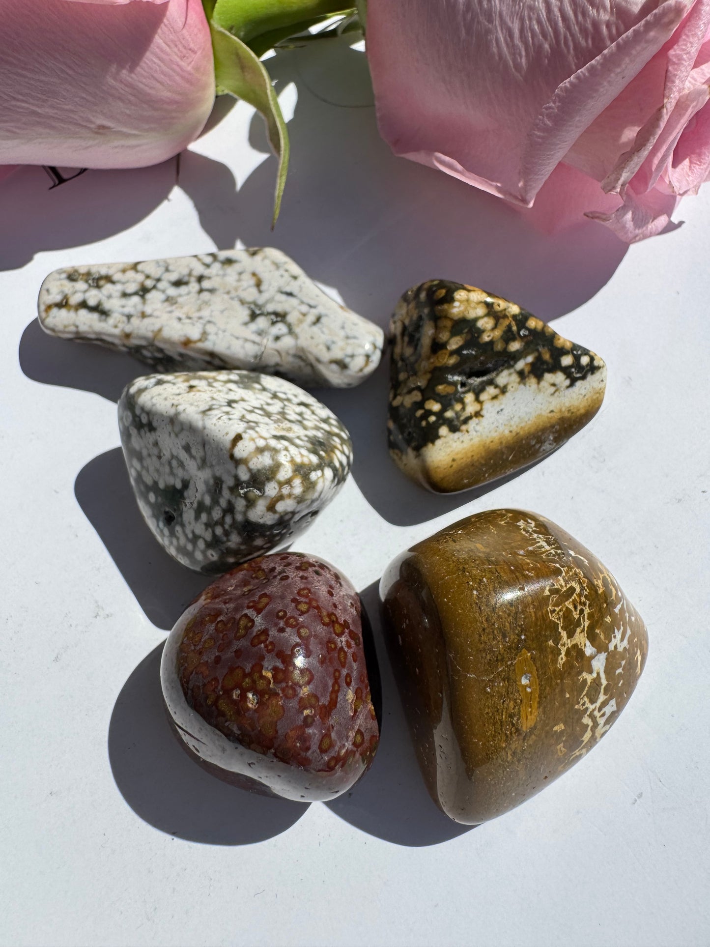 Small Ocean Jasper Tumbled - Moon Room Shop and Wellness
