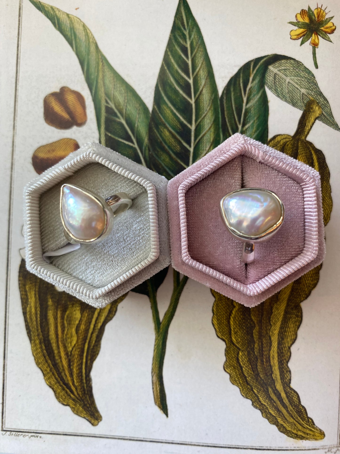 Pearl Sterling Silver Ring - Moon Room Shop and Wellness