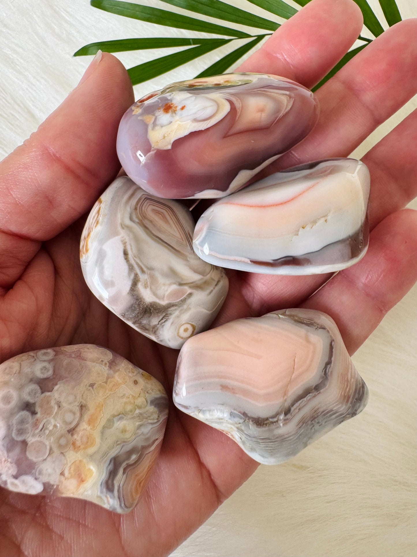 Pink Botswana Agate Tumbled - Moon Room Shop and Wellness