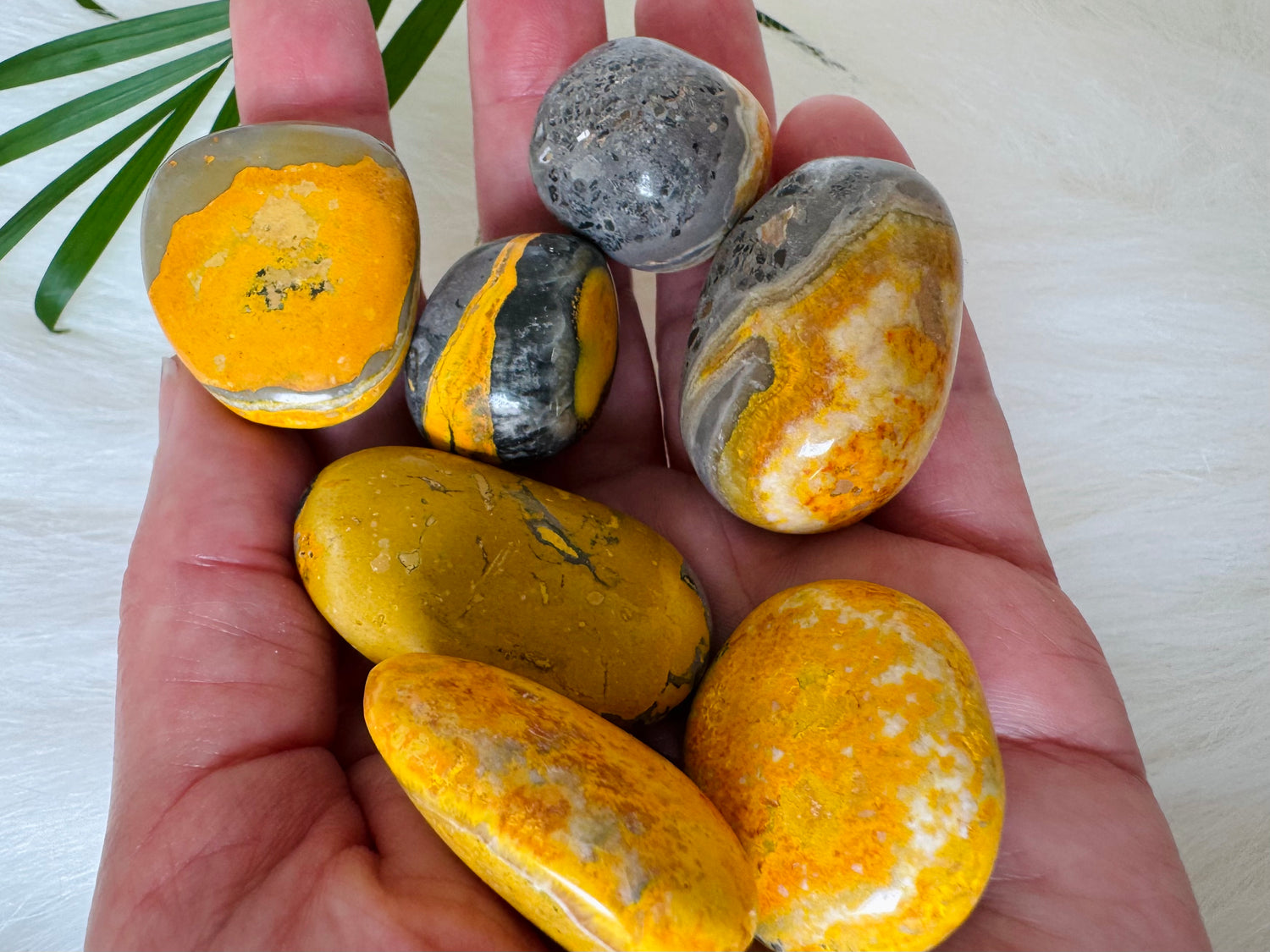Bumblebee Jasper Tumbled - Moon Room Shop and Wellness