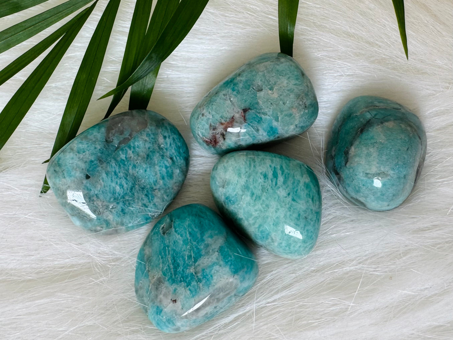 Amazonite Tumbled Large - Moon Room Shop and Wellness