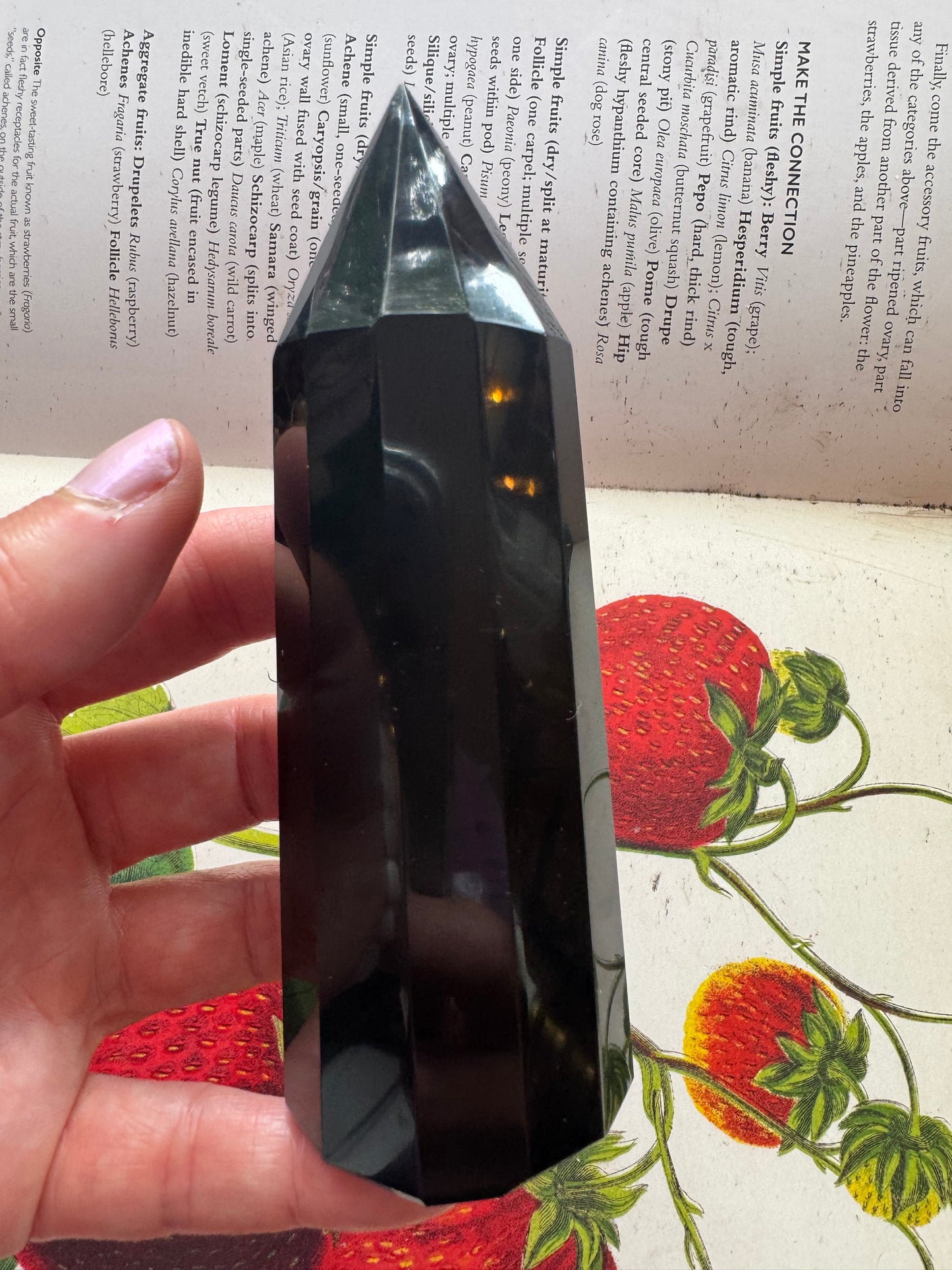 Black Obsidian Faceted Tower 220 g - Moon Room Shop and Wellness