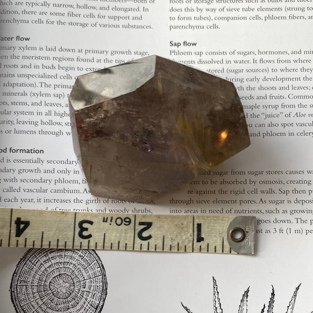 Garden Quartz With Gold Rutile Freeform 241 g - Moon Room Shop and Wellness