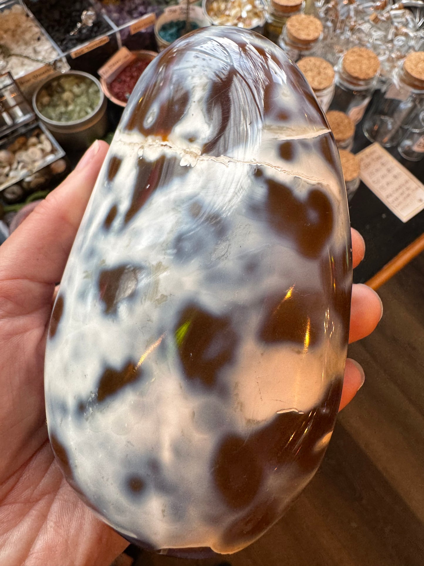 Carnelian Orca Agate Palm Stone 1.6 lb - Madagascar - Moon Room Shop and Wellness