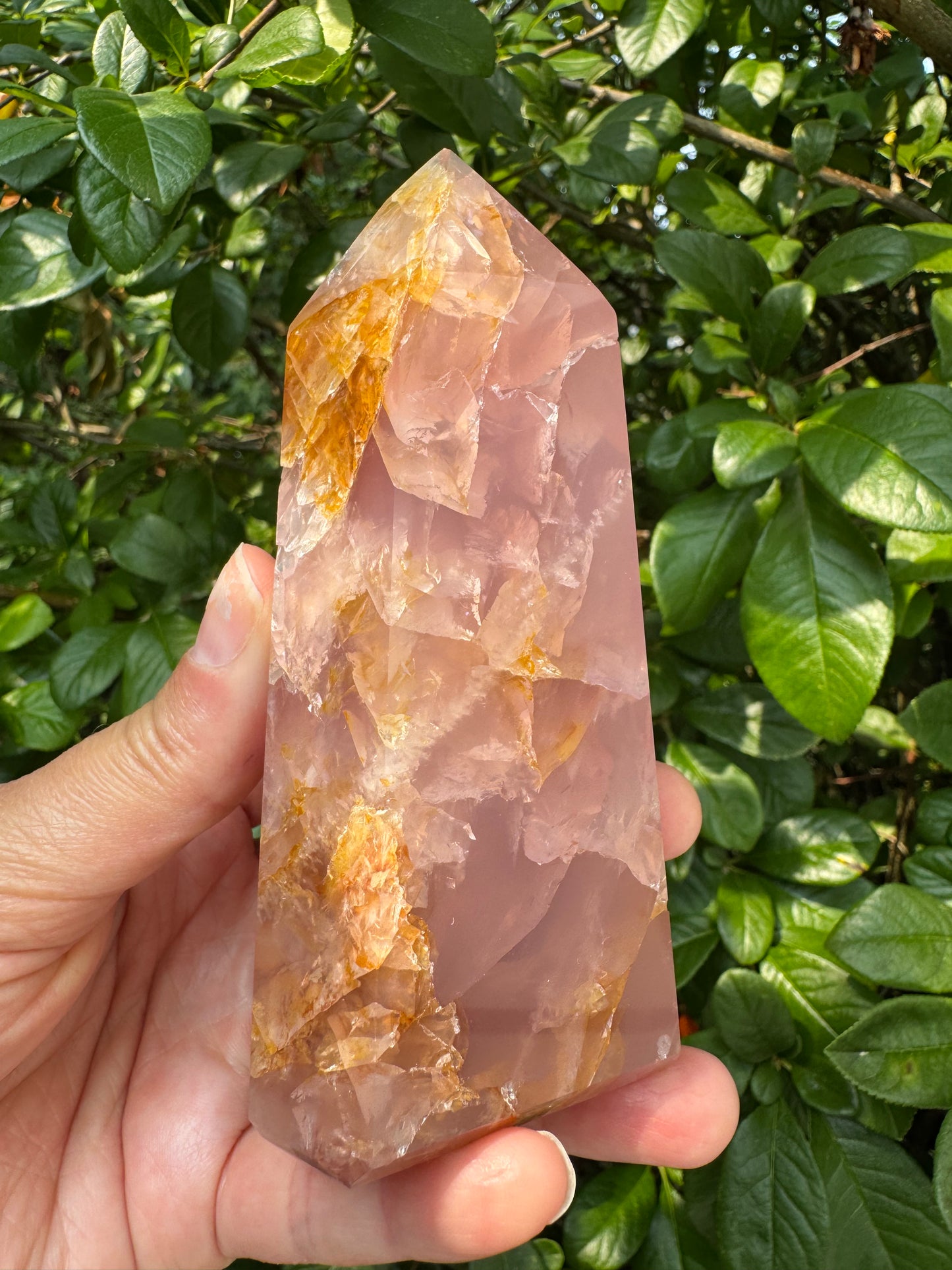 Guave Rose Quartz w Golden Healer - Gorgeous! 328 g - Brazil - Moon Room Shop and Wellness