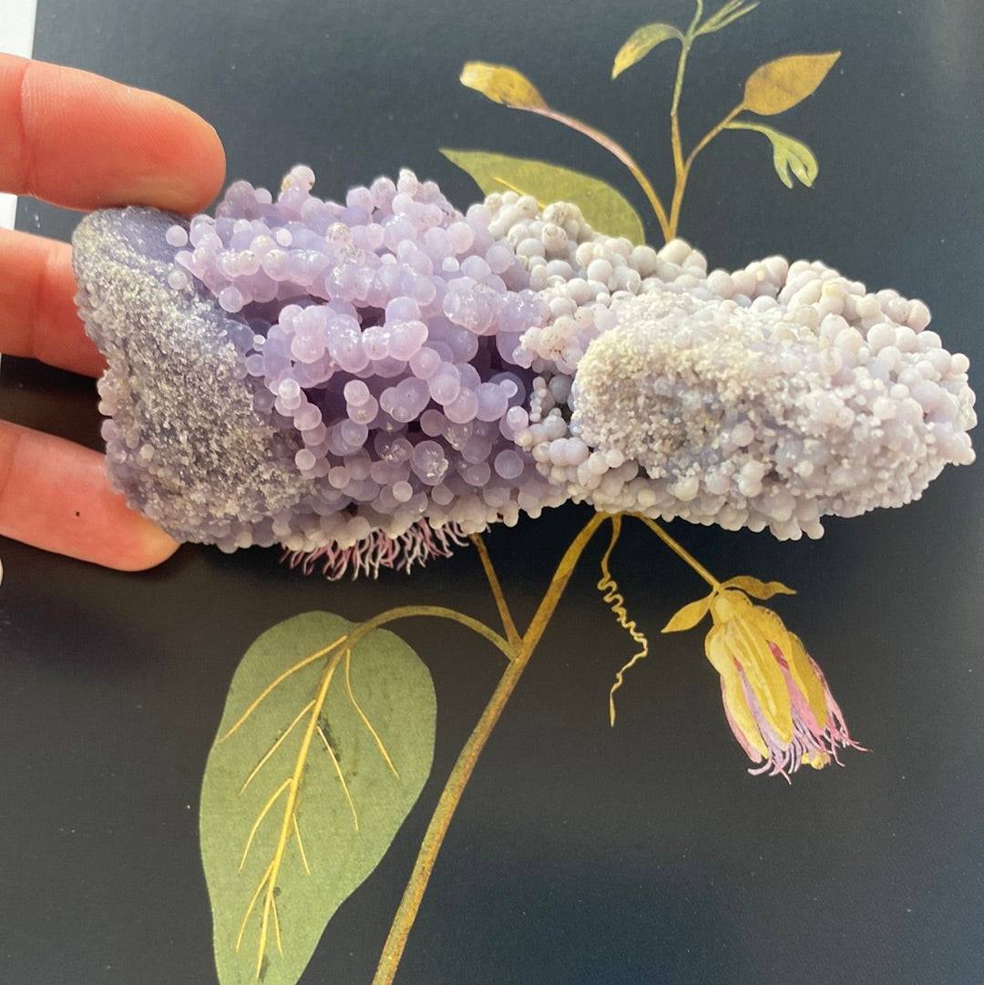 Grape Agate Botryoidal 162 g  Indonesia - Moon Room Shop and Wellness