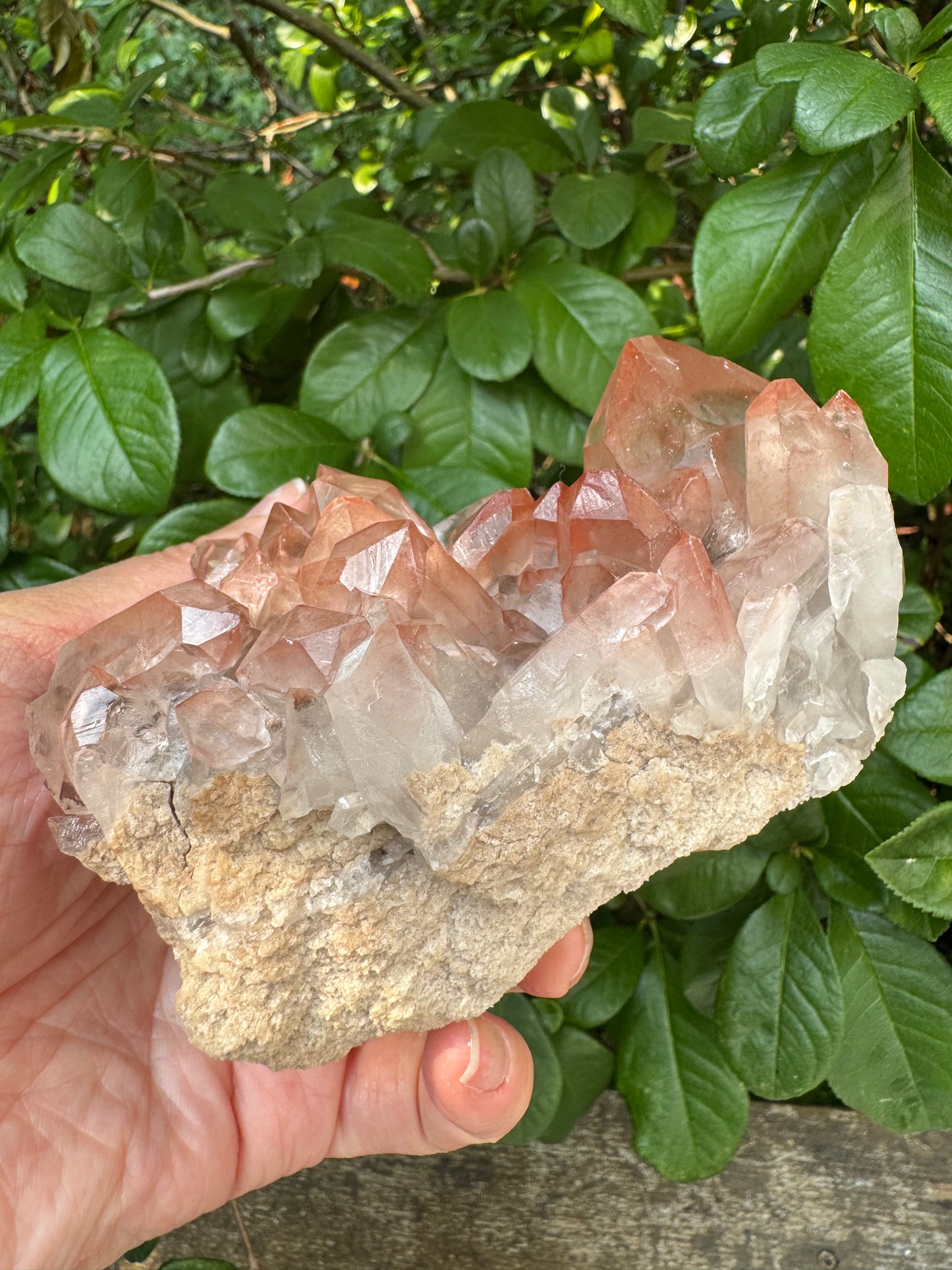 Pink Lithium Quartz Cluster 1lb 5oz - Brazil- Peaceful Beauty! - Moon Room Shop and Wellness