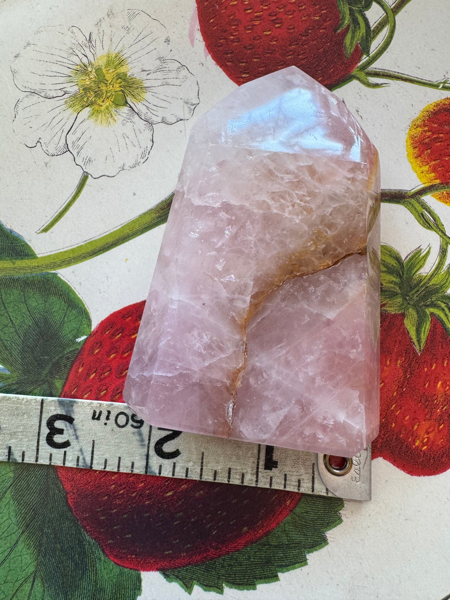 Rose Quartz with Golden Healer Tower 172 g - Brazilian Beauty! - Moon Room Shop and Wellness