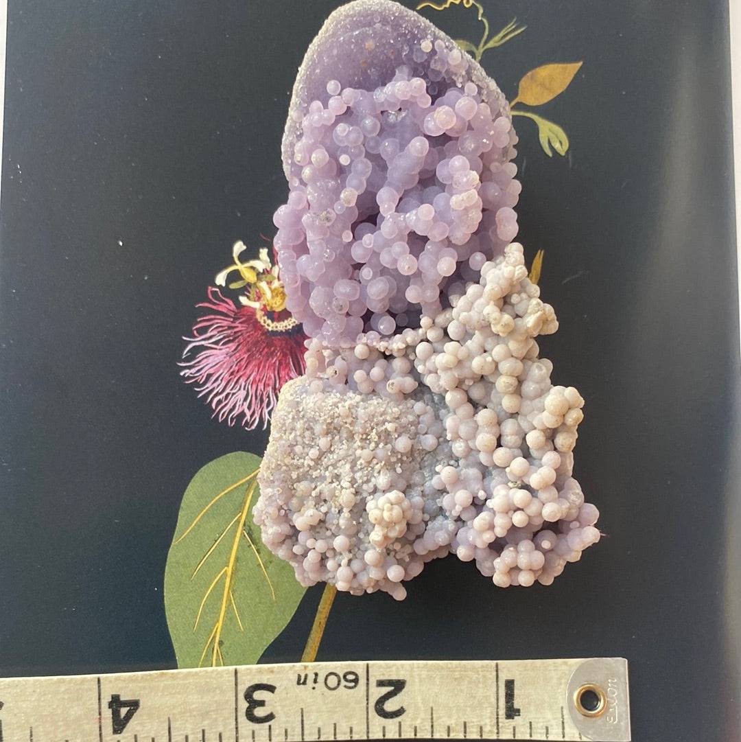 Grape Agate Botryoidal 162 g  Indonesia - Moon Room Shop and Wellness
