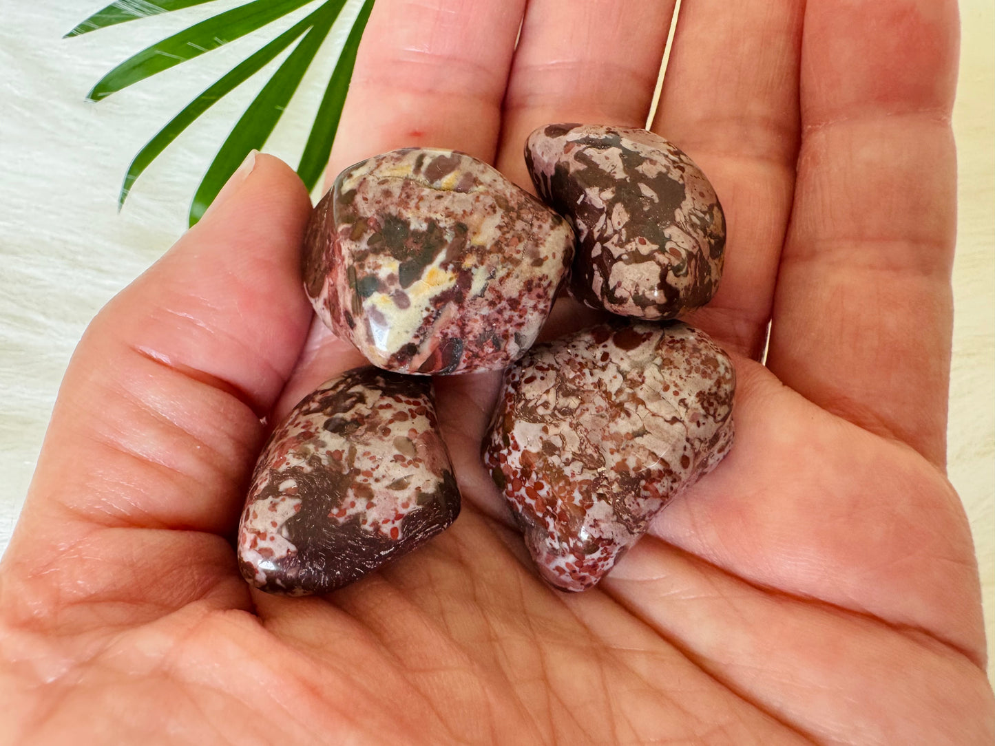 Red Leopard Skin Jasper Tumbled - Moon Room Shop and Wellness