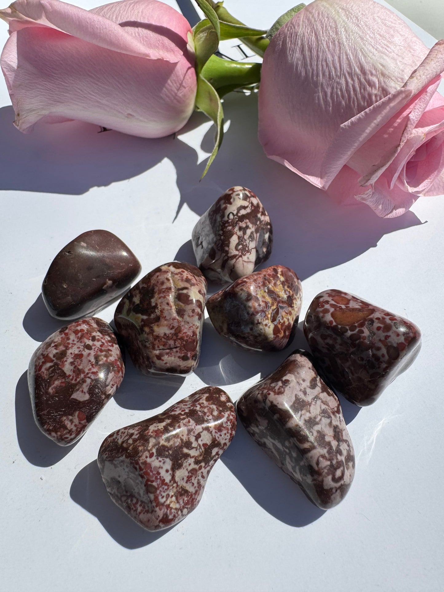 Red Leopard Skin Jasper Tumbled - Moon Room Shop and Wellness