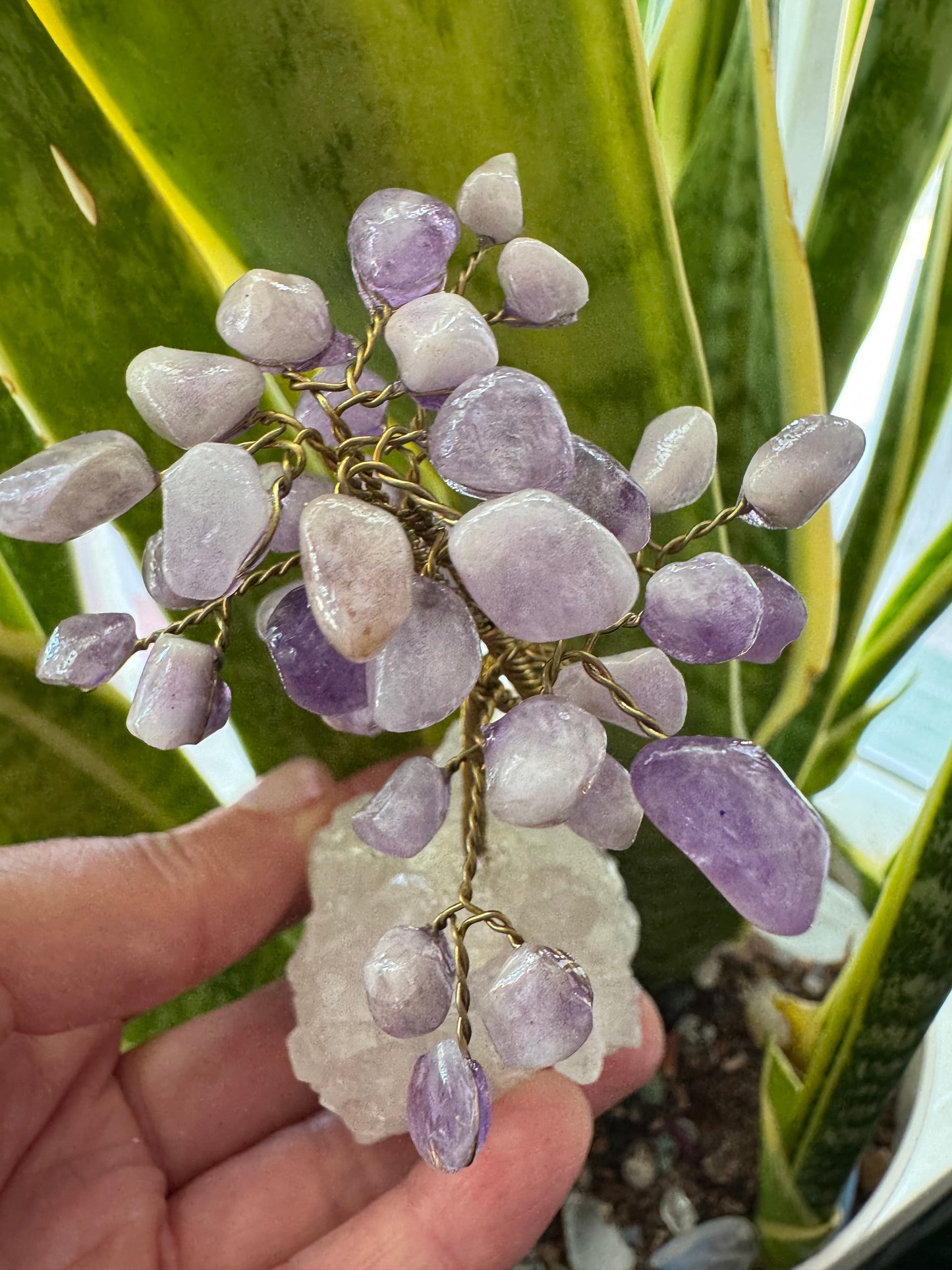 Amethyst Gem Tree on Clear Quartz -So Sweeeet!! - Moon Room Shop and Wellness