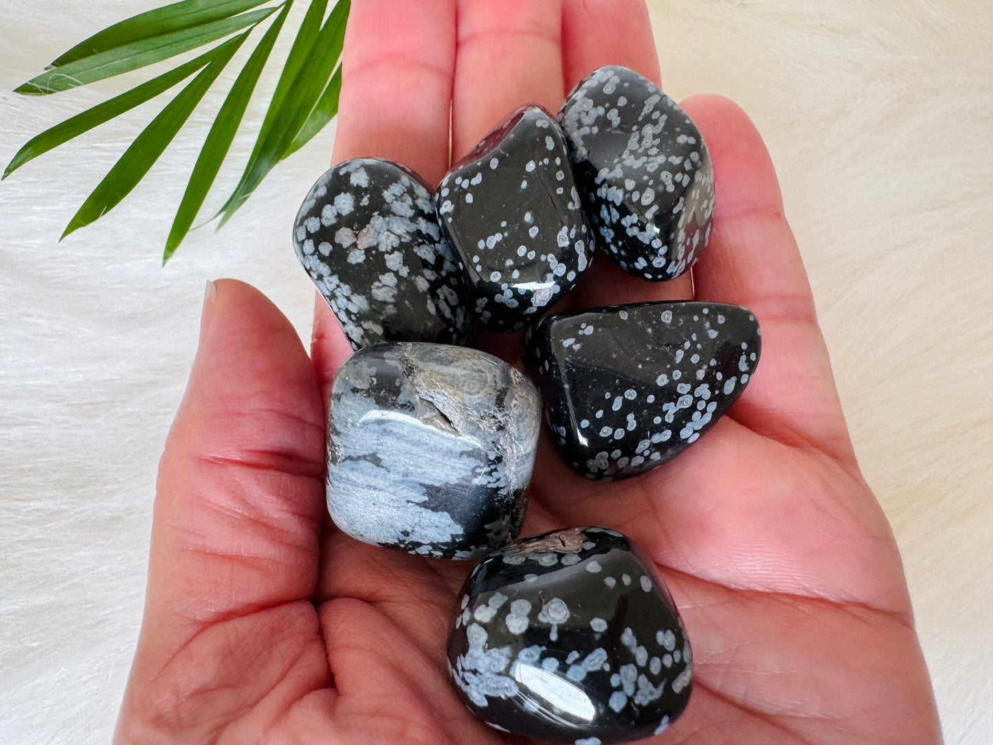 Snowflake Obsidian Tumbled - Moon Room Shop and Wellness
