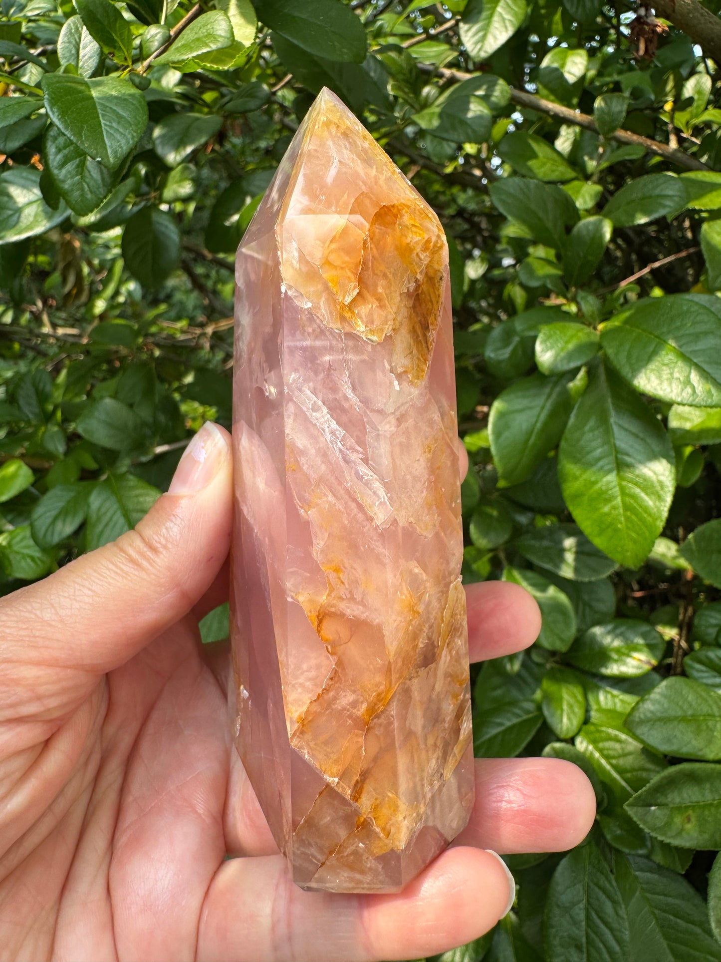 Guave Rose Quartz w Golden Healer - Gorgeous! 328 g - Brazil - Moon Room Shop and Wellness