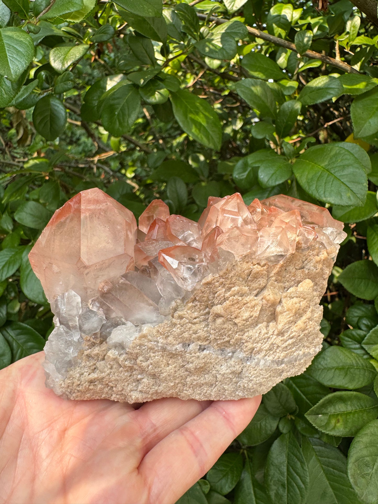 Pink Lithium Quartz Cluster 1lb 5oz - Brazil- Peaceful Beauty! - Moon Room Shop and Wellness