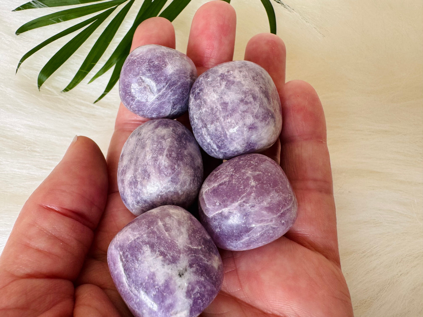 Lepidolite Tumbled Large - Moon Room Shop and Wellness