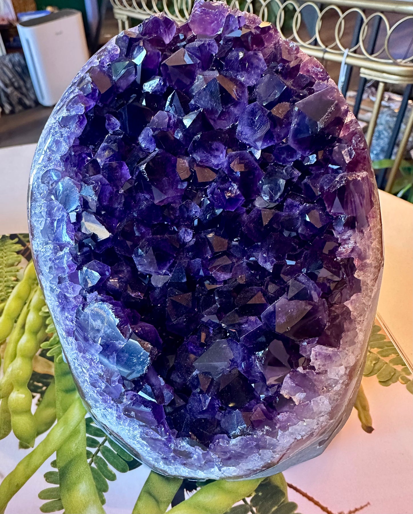 Brazilian Dark Purple Amethyst Standing Cluster 4.4 lb - Moon Room Shop and Wellness