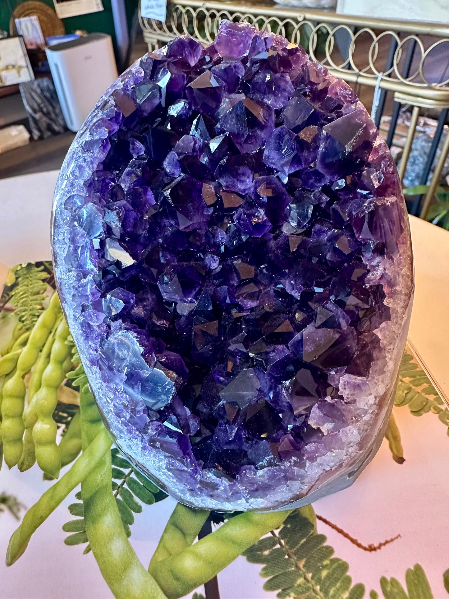 Brazilian Dark Purple Amethyst Standing Cluster 4.4 lb - Moon Room Shop and Wellness