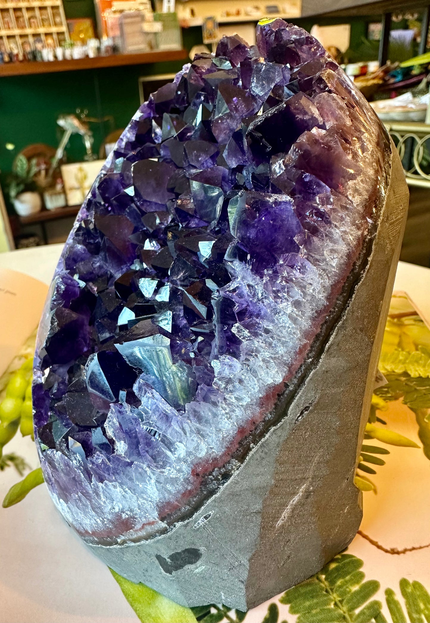 Brazilian Dark Purple Amethyst Standing Cluster 4.4 lb - Moon Room Shop and Wellness