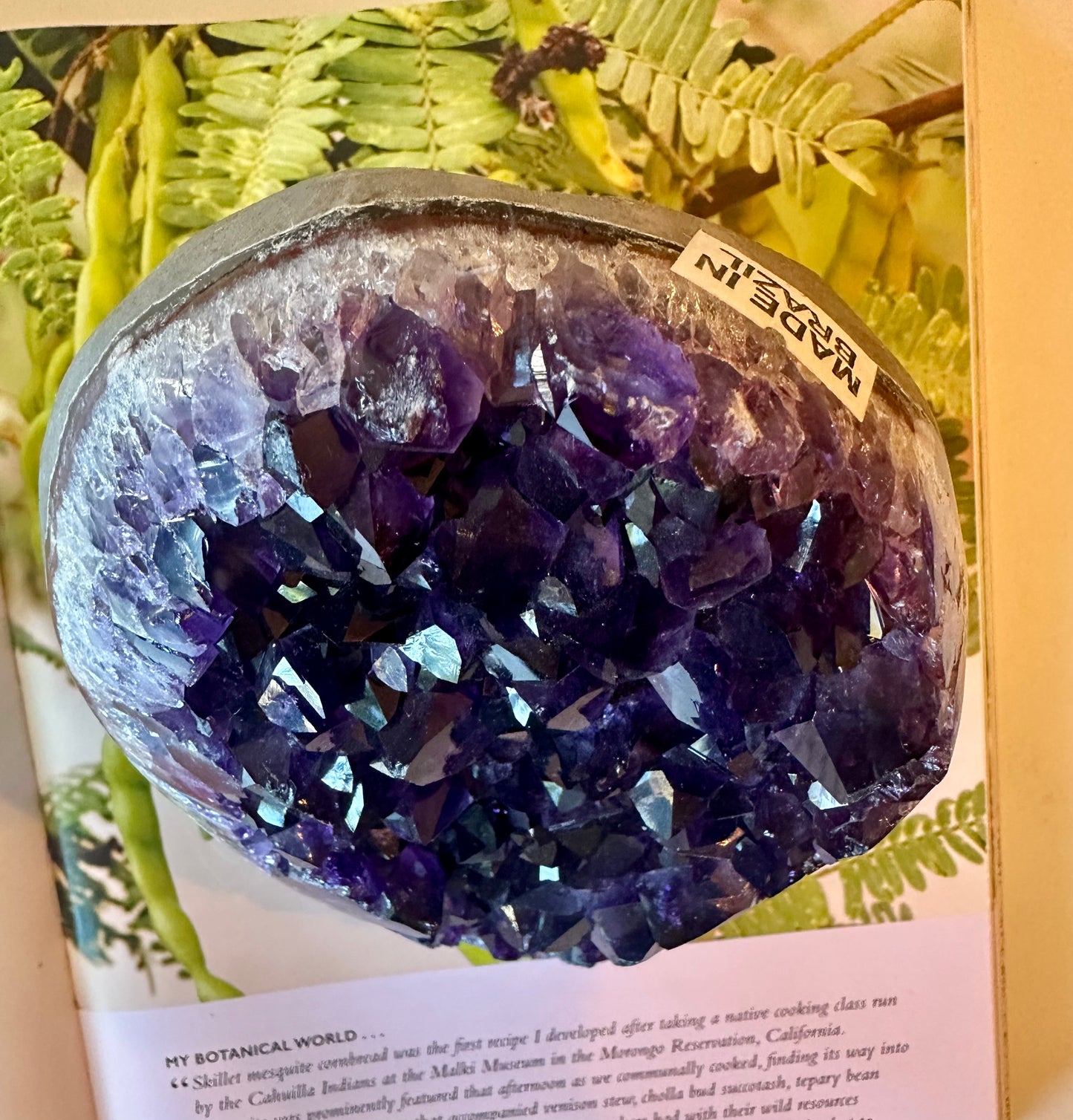 Brazilian Dark Purple Amethyst Standing Cluster 4.4 lb - Moon Room Shop and Wellness