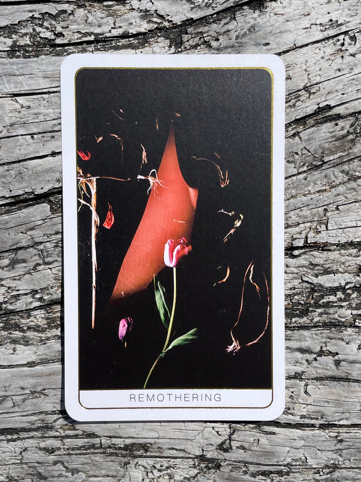Death Doula Oracle - Moon Room Shop and Wellness