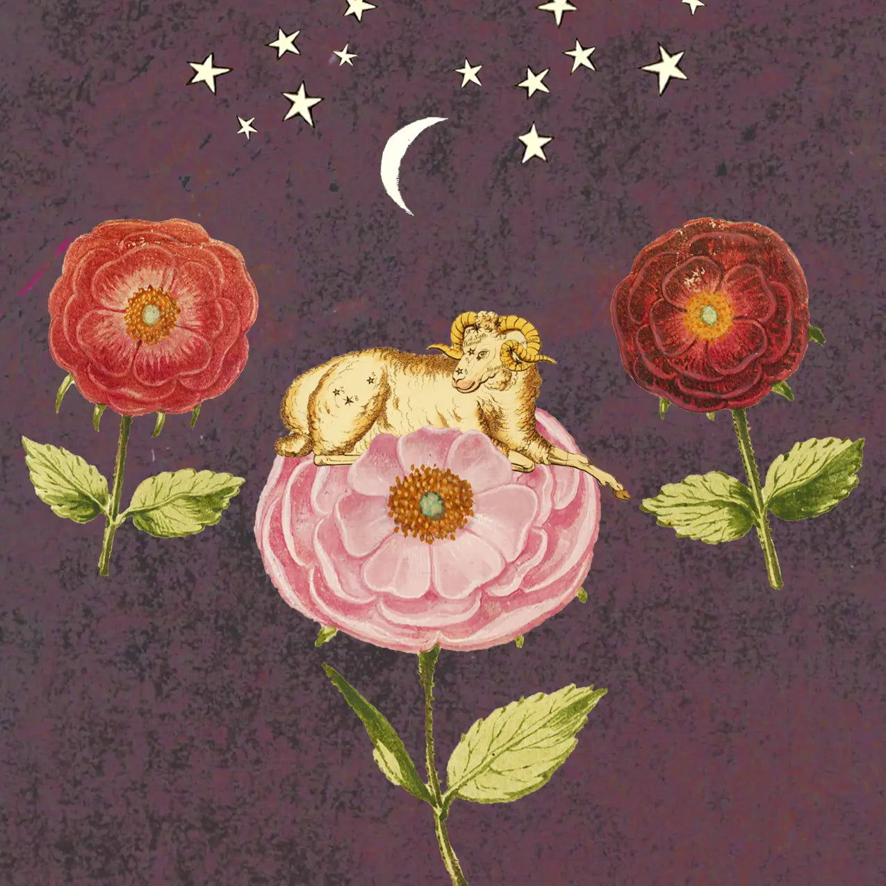 Aries Print 5x7 inch - Moon Room Shop and Wellness