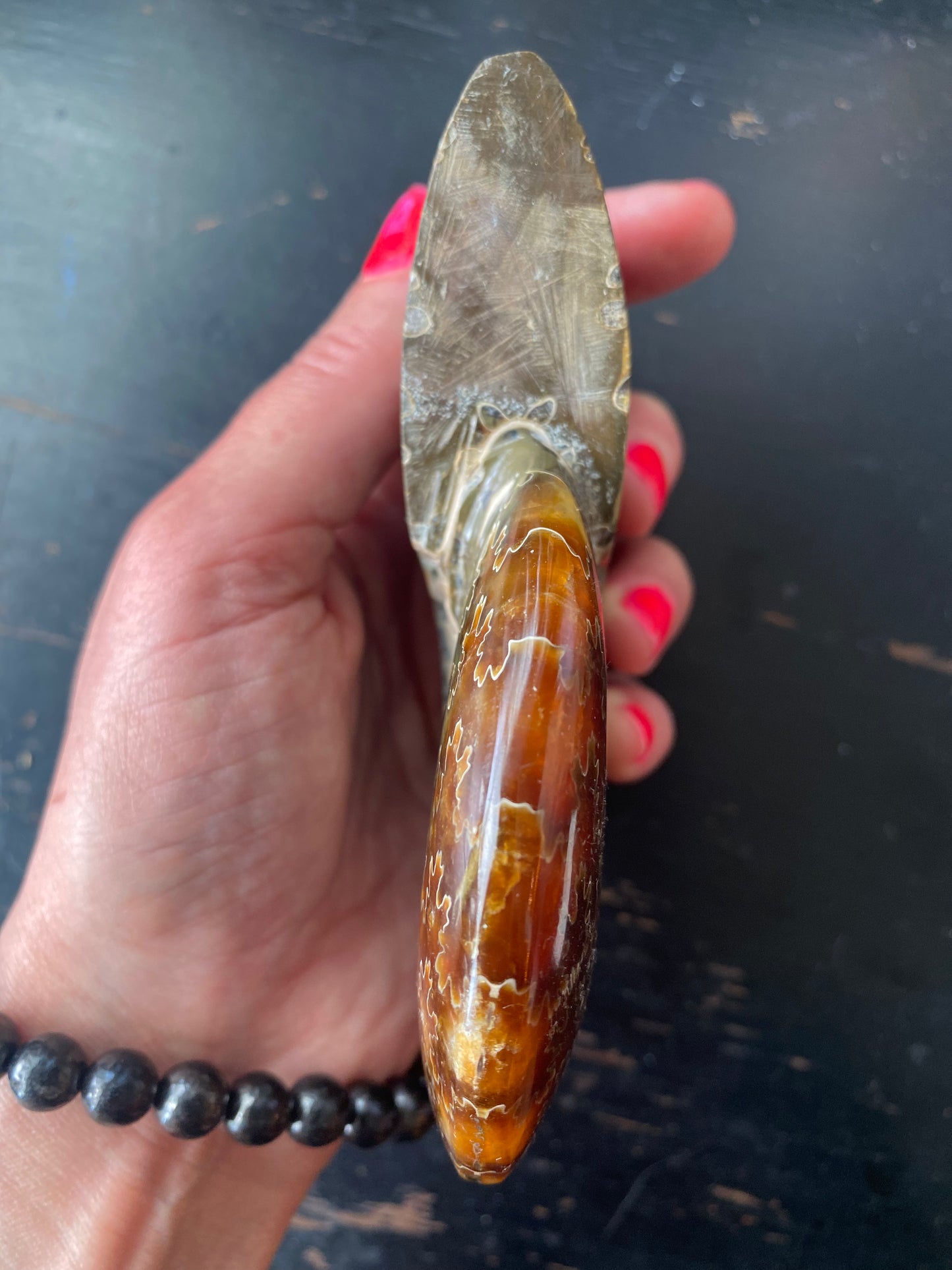 Polished Ammonite Fossil Madagascar- 4.75" x 4" 13.7oz - Moon Room Shop and Wellness