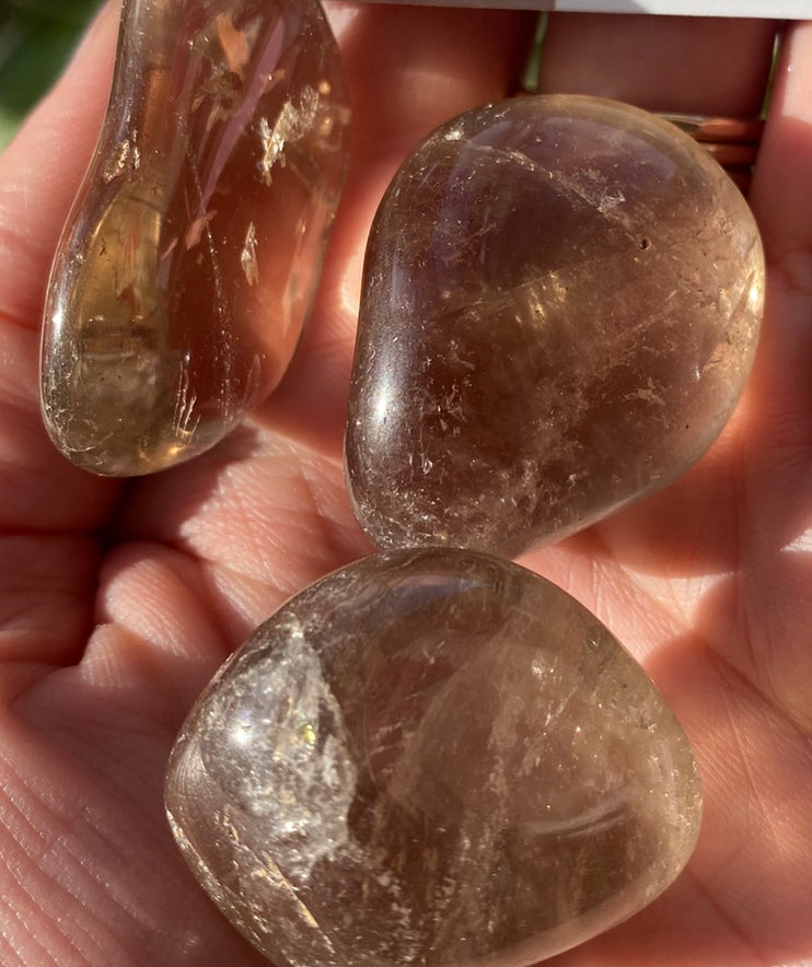 Smoky Quartz Tumbled - Moon Room Shop and Wellness