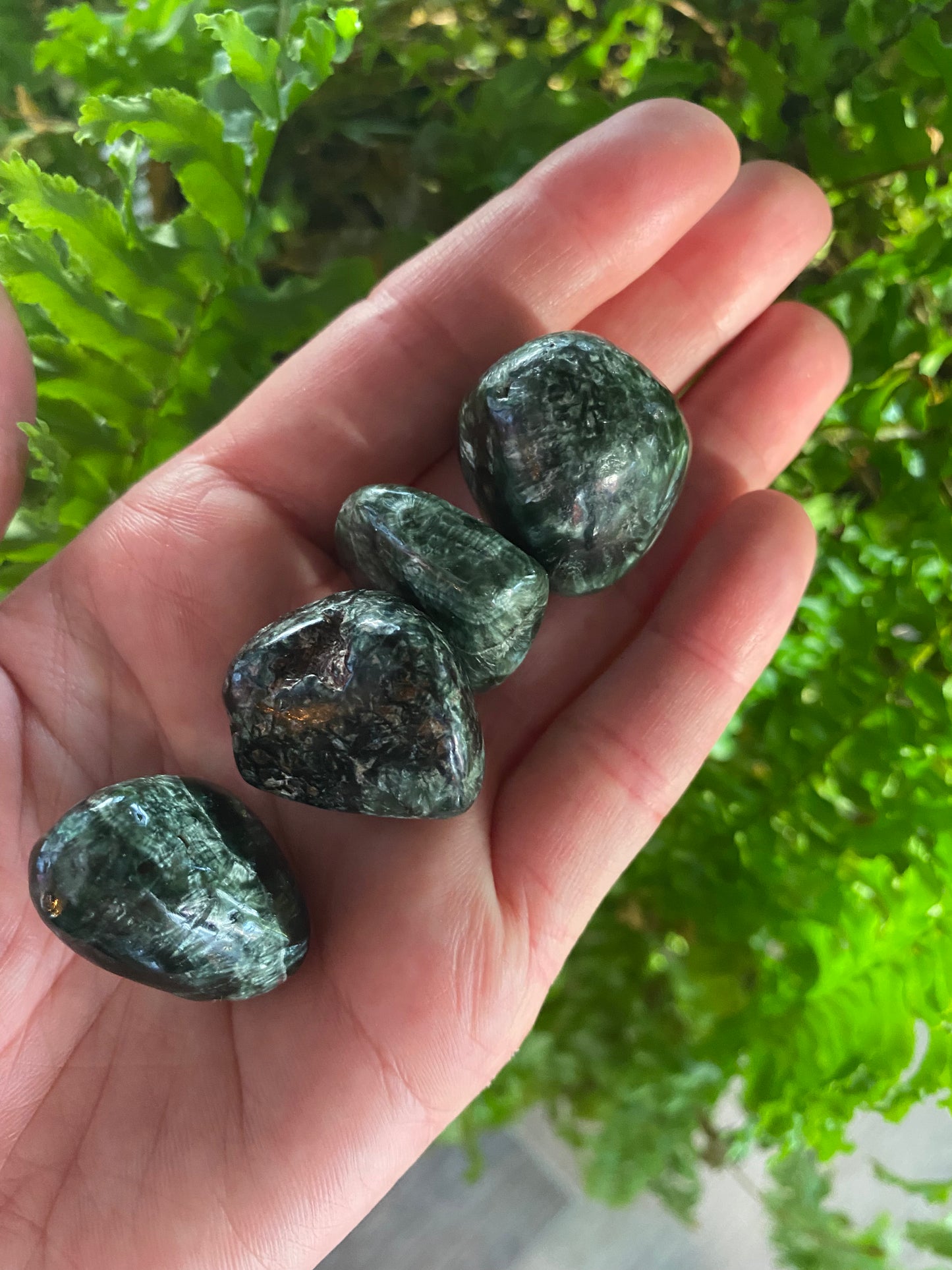 Seraphinite Tumbled- Russia - Moon Room Shop and Wellness