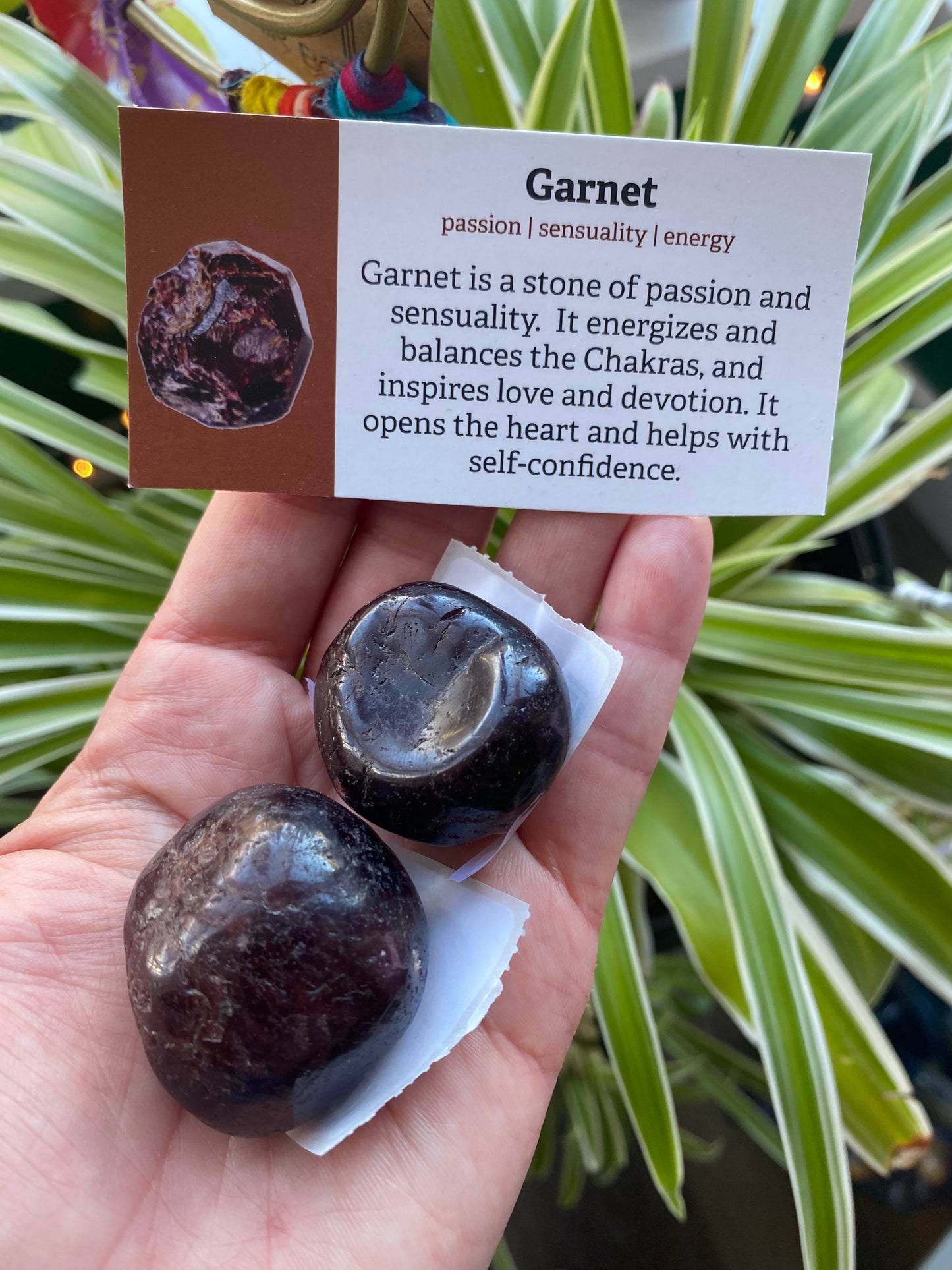 Large Garnet Tumbled - Moon Room Shop and Wellness