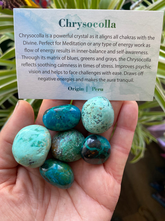 Chrysocolla Tumbled - Moon Room Shop and Wellness