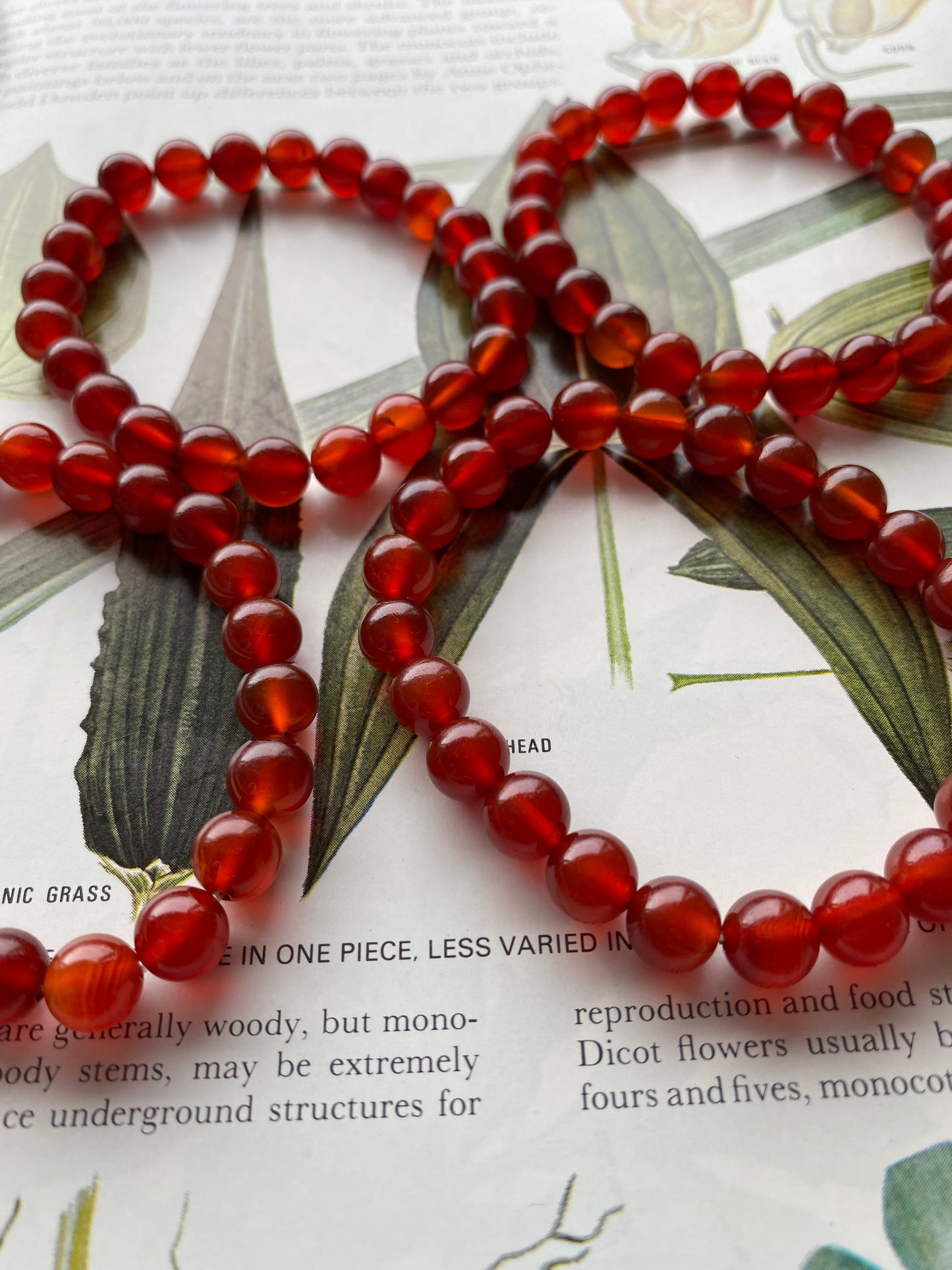 Carnelian 8mm Bead Stretch Bracelet - Moon Room Shop and Wellness