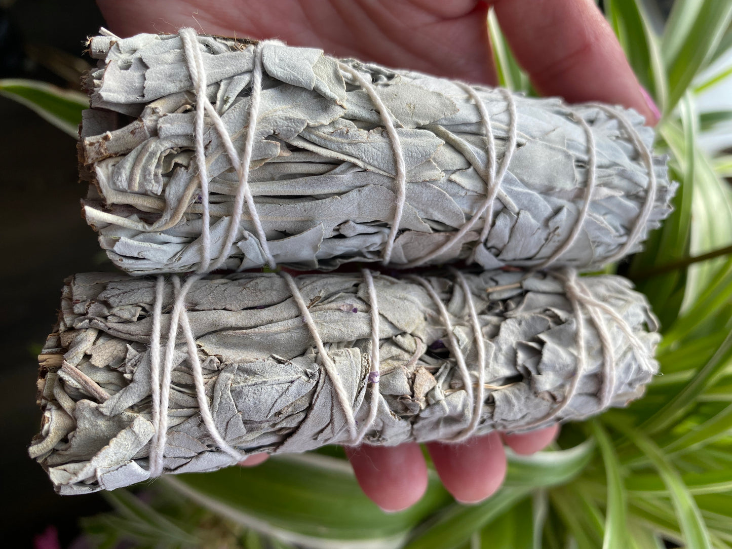 Sage Smudge - Moon Room Shop and Wellness