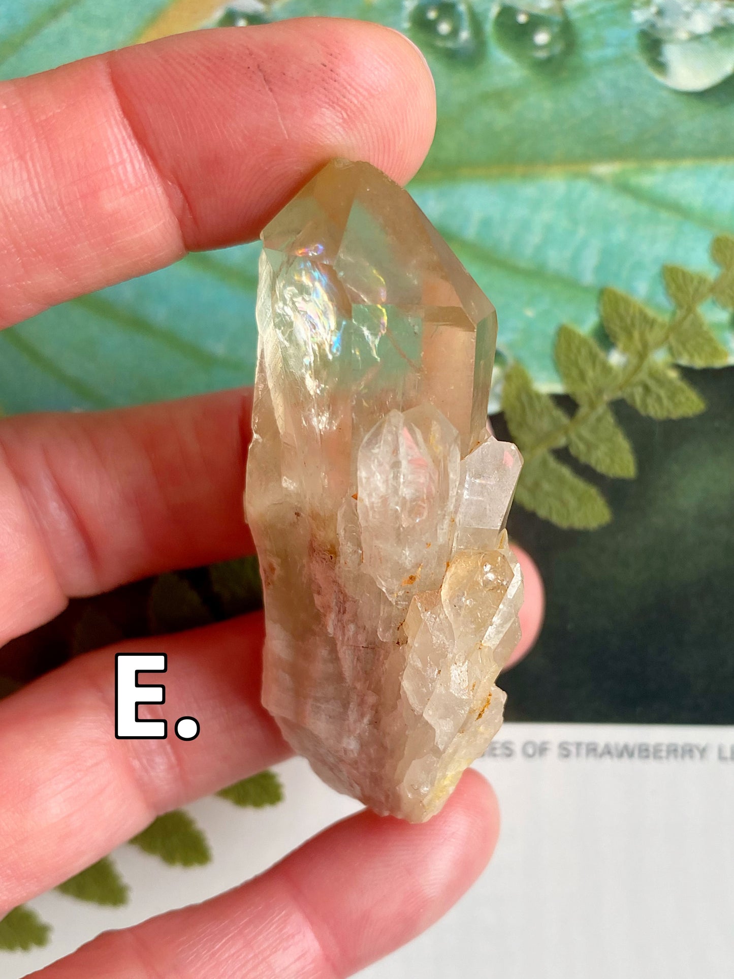 Kundalini Citrine•Natural Citrine - Moon Room Shop and Wellness