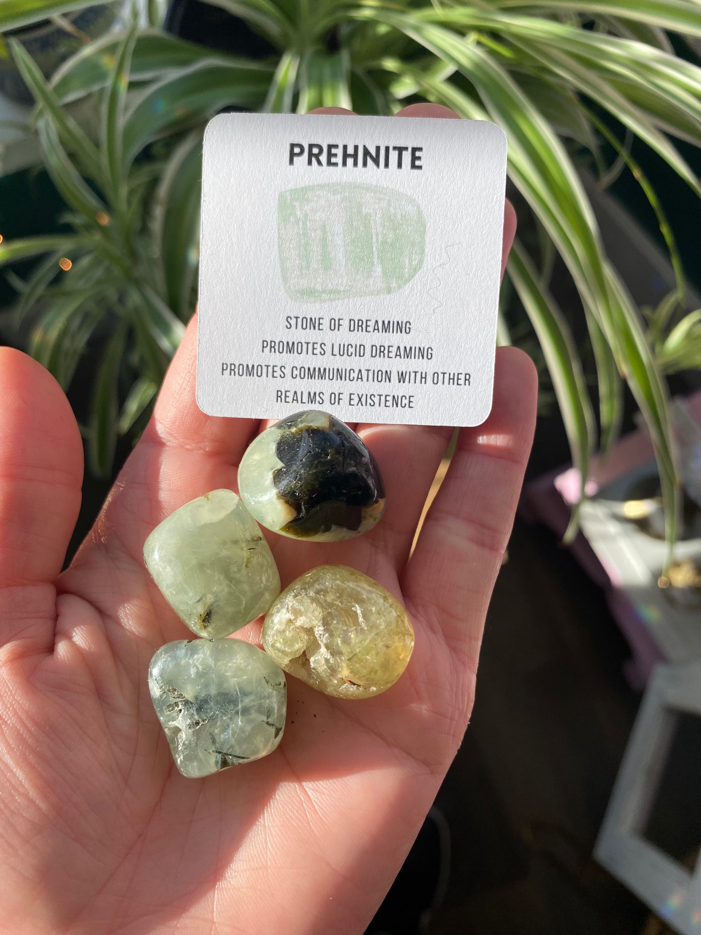 Prehnite w/ Rutile Tumbled - Moon Room Shop and Wellness
