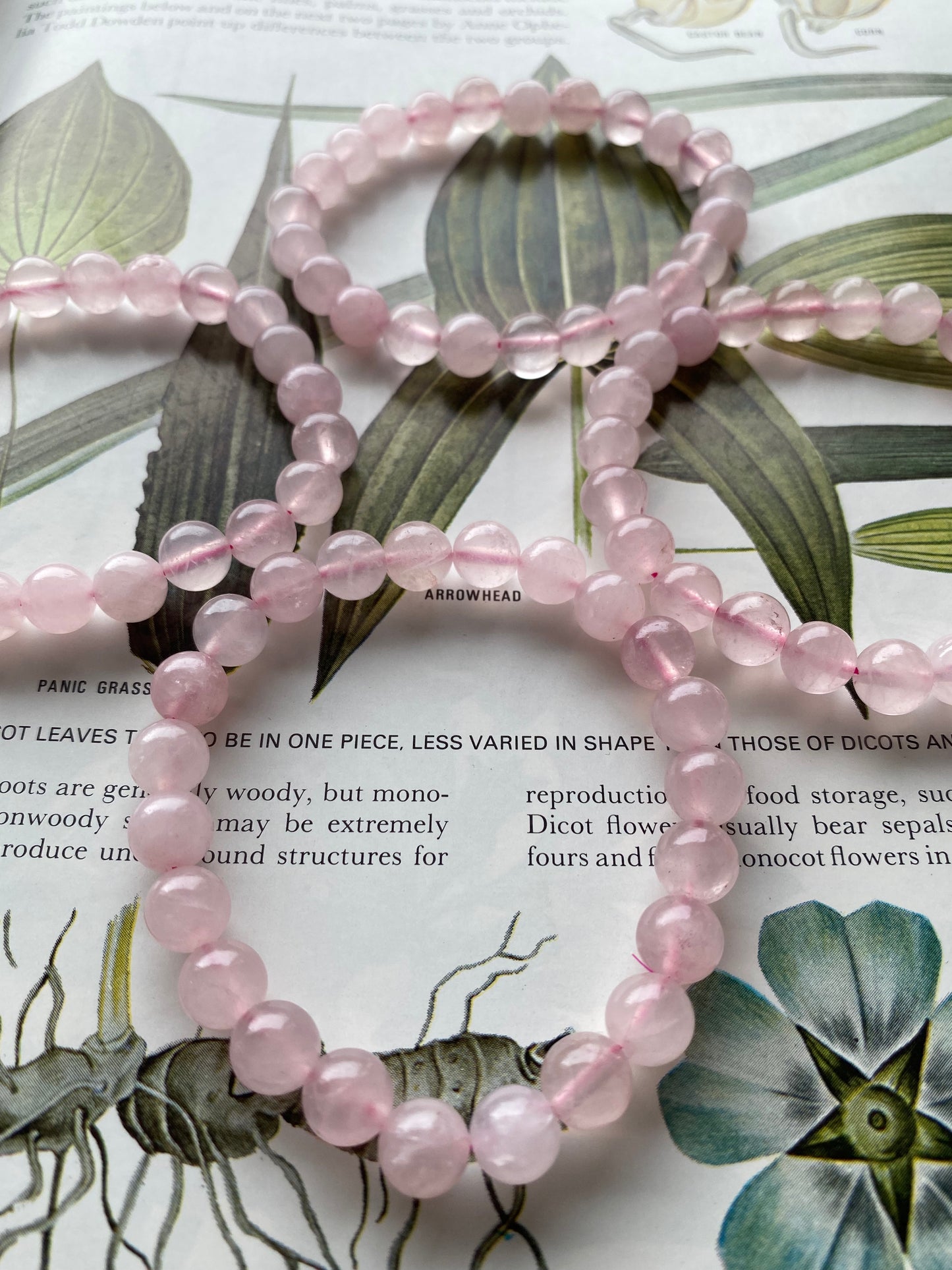 Rose Quartz Stretch Bracelet - Moon Room Shop and Wellness