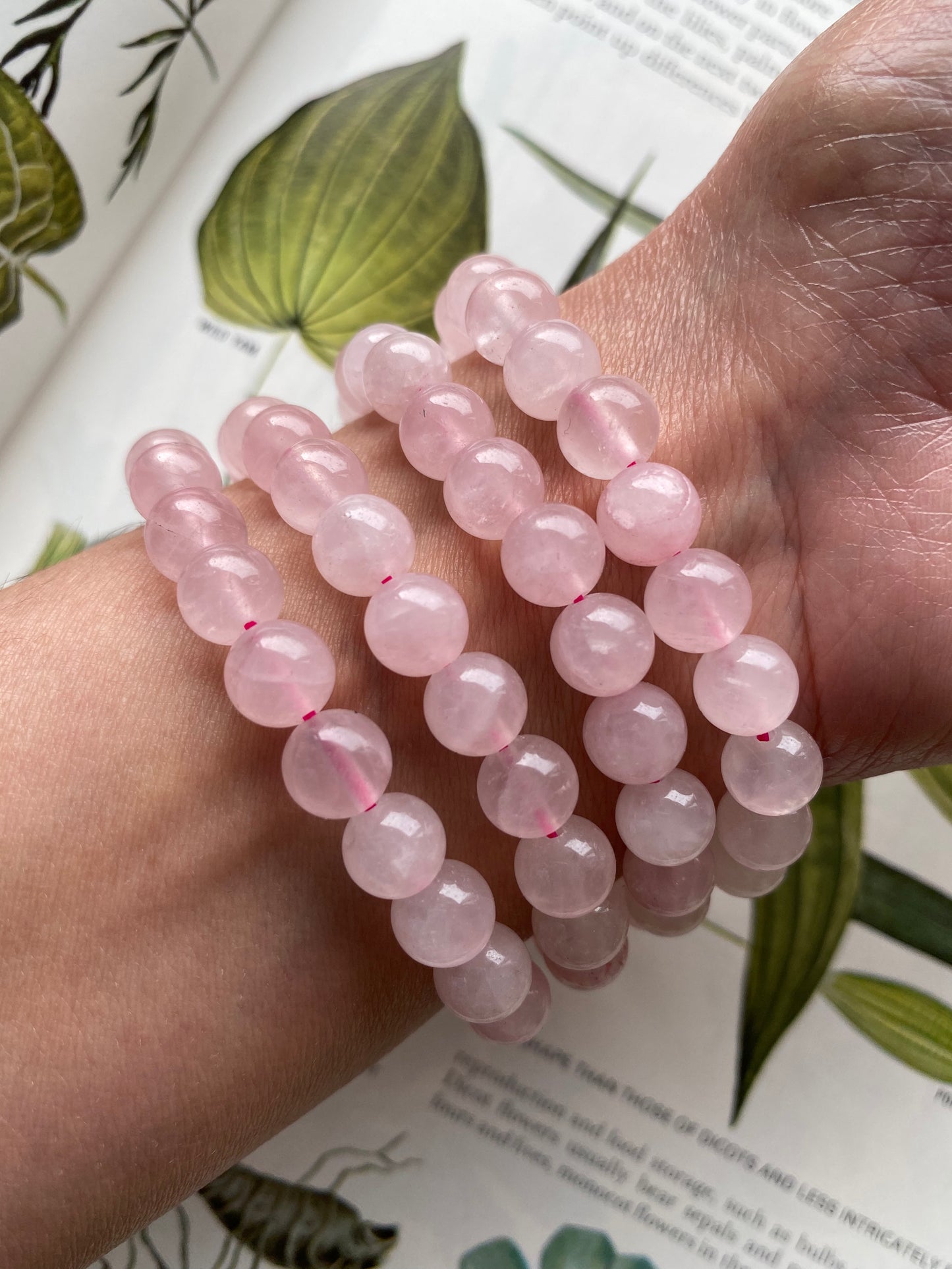 Rose Quartz Stretch Bracelet - Moon Room Shop and Wellness