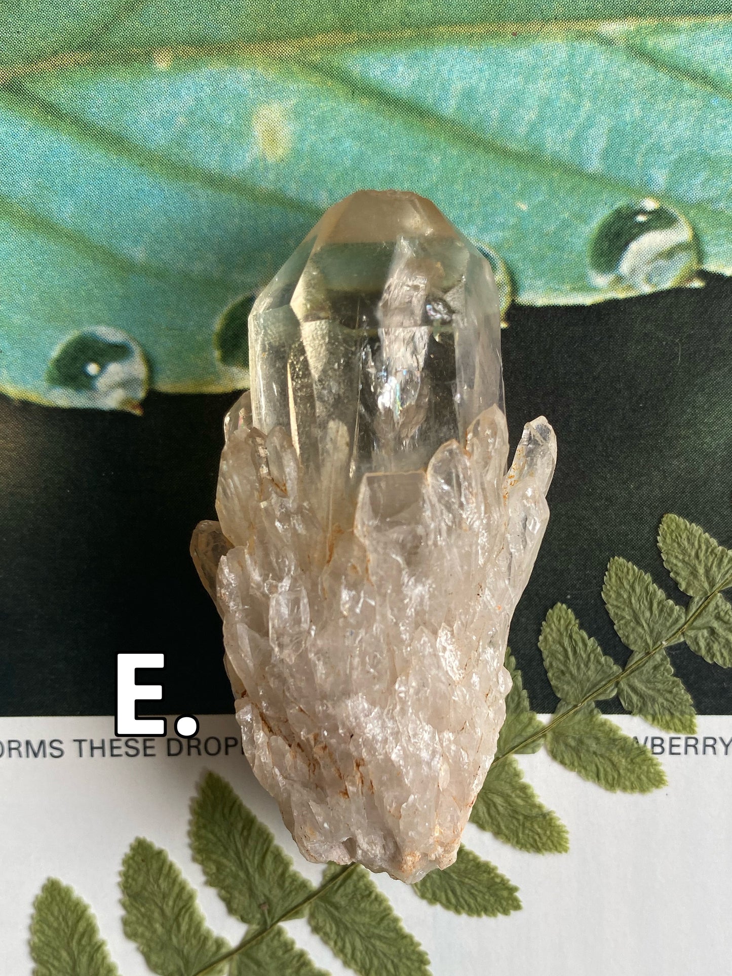 Kundalini Citrine•Natural Citrine - Moon Room Shop and Wellness