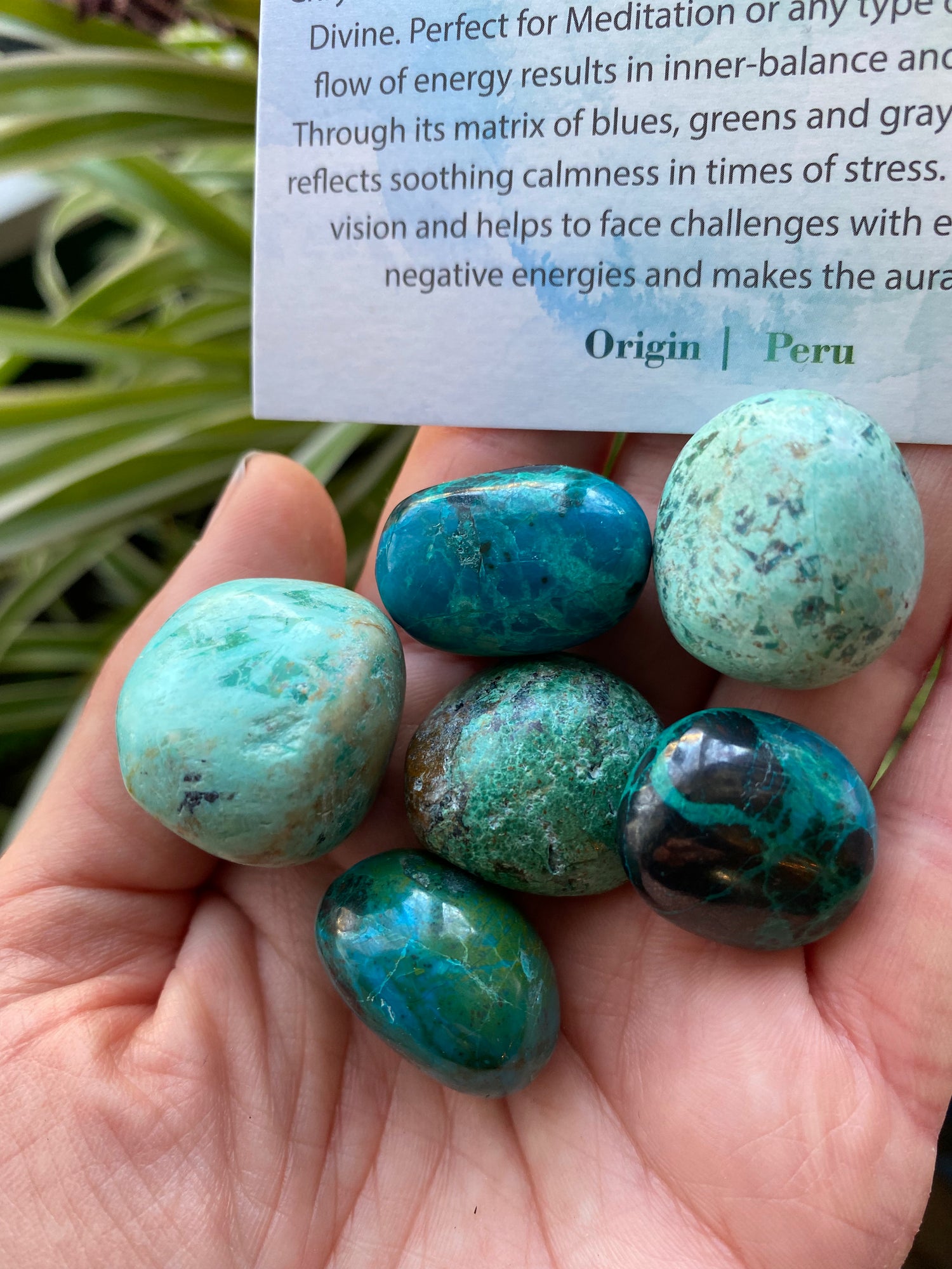 Chrysocolla Tumbled - Moon Room Shop and Wellness