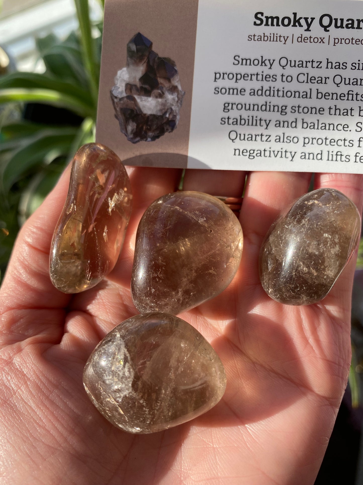 Smoky Quartz Tumbled - Moon Room Shop and Wellness