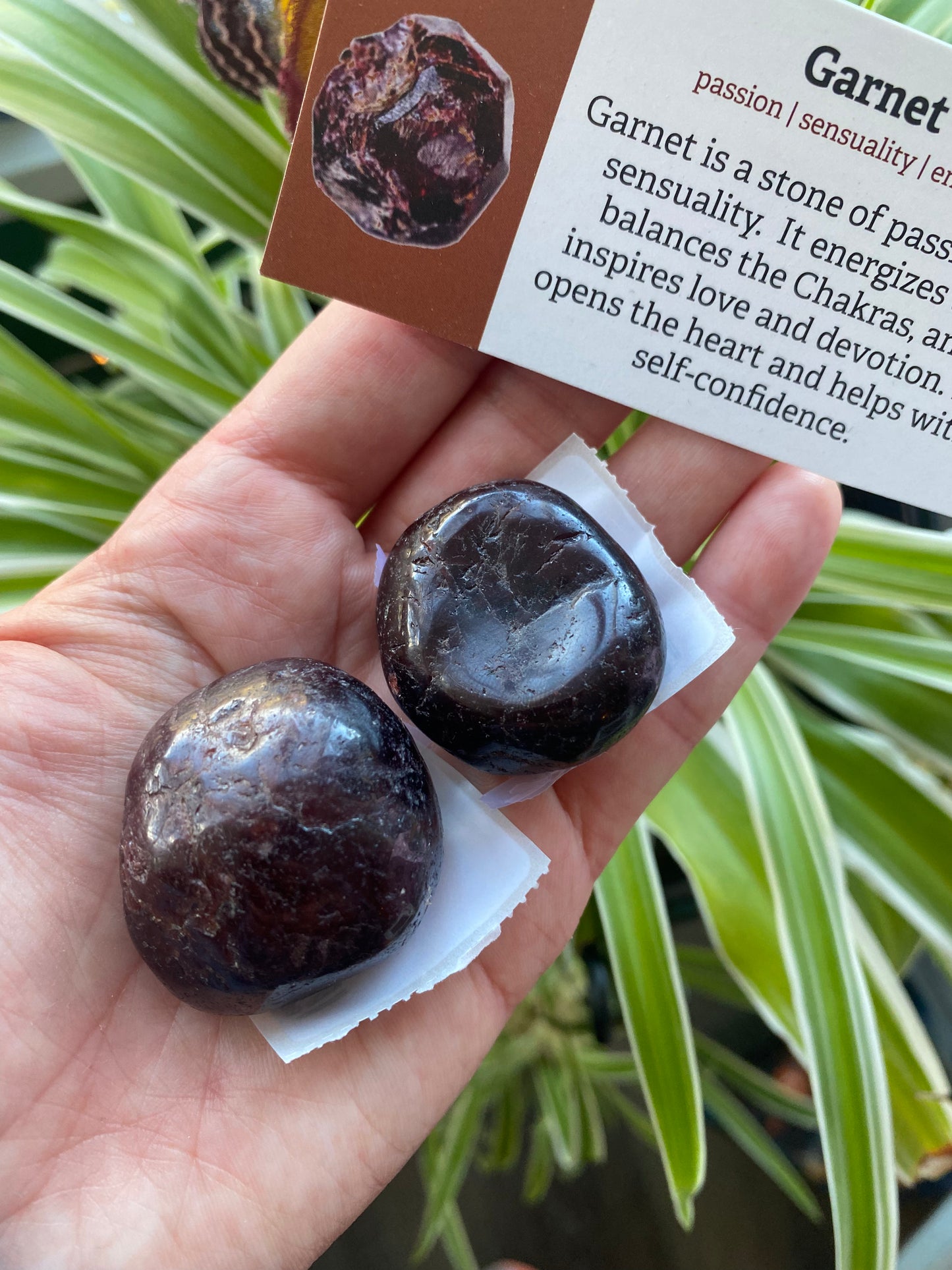 Large Garnet Tumbled - Moon Room Shop and Wellness