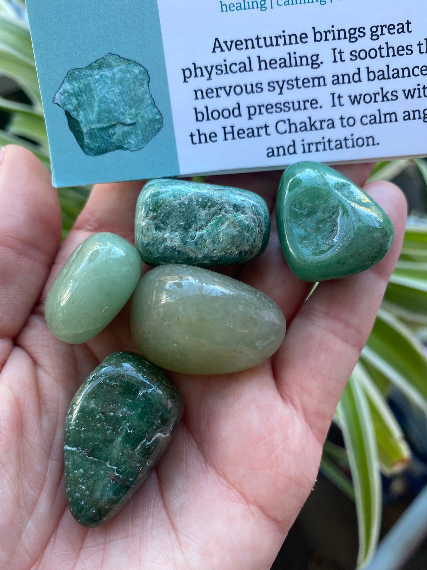 Tumbled Green Aventurine - Moon Room Shop and Wellness