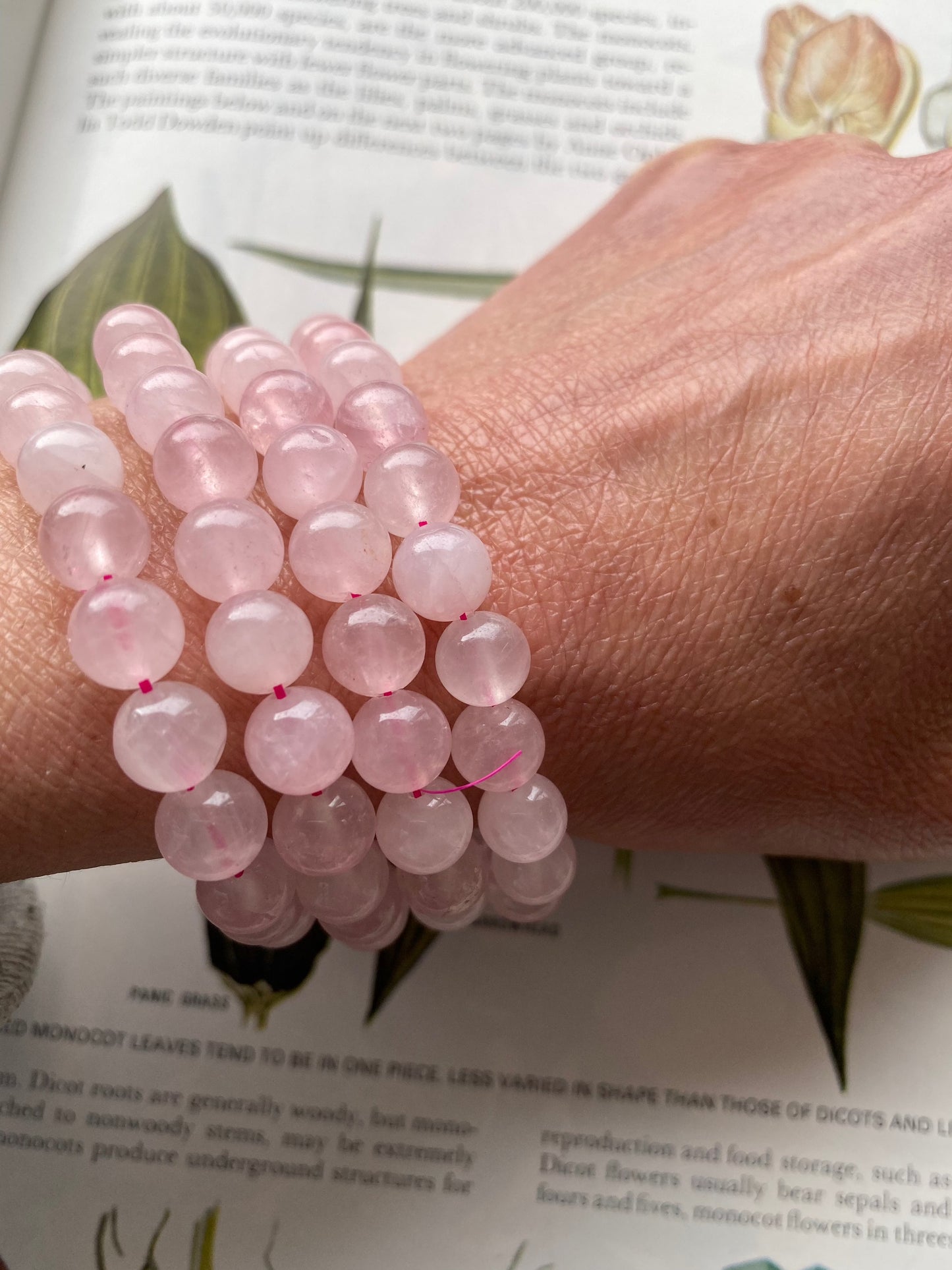Rose Quartz Stretch Bracelet - Moon Room Shop and Wellness