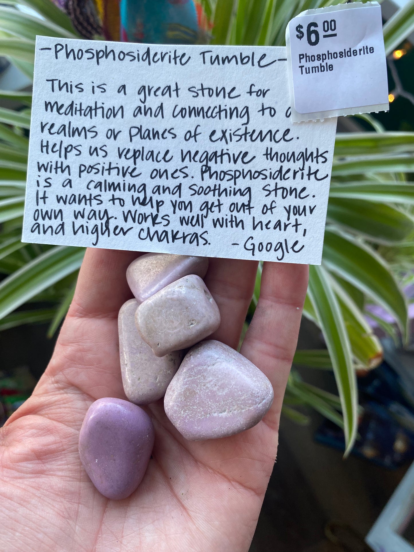 Phosphosiderite Tumble - Moon Room Shop and Wellness